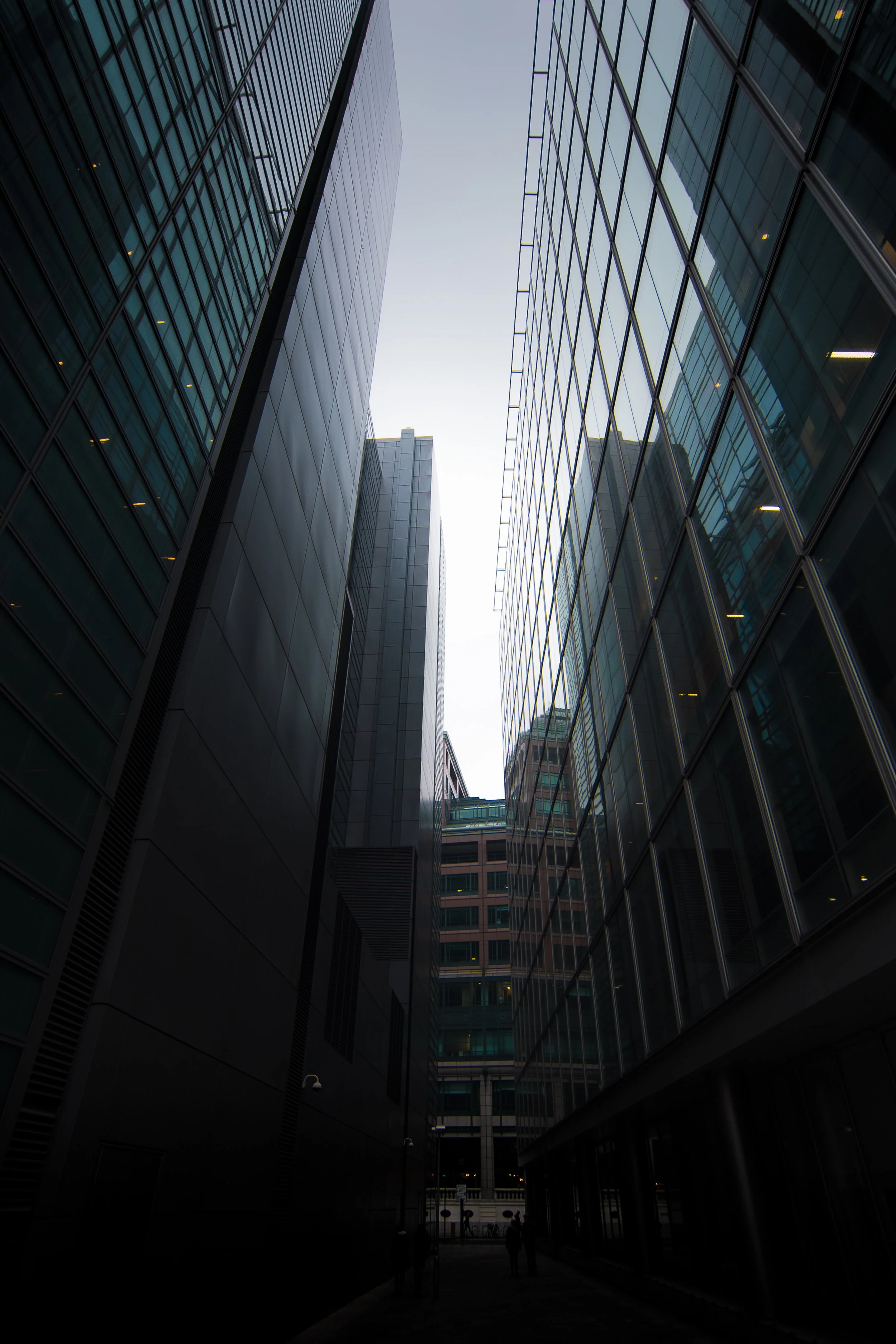 DSC_0321.jpg