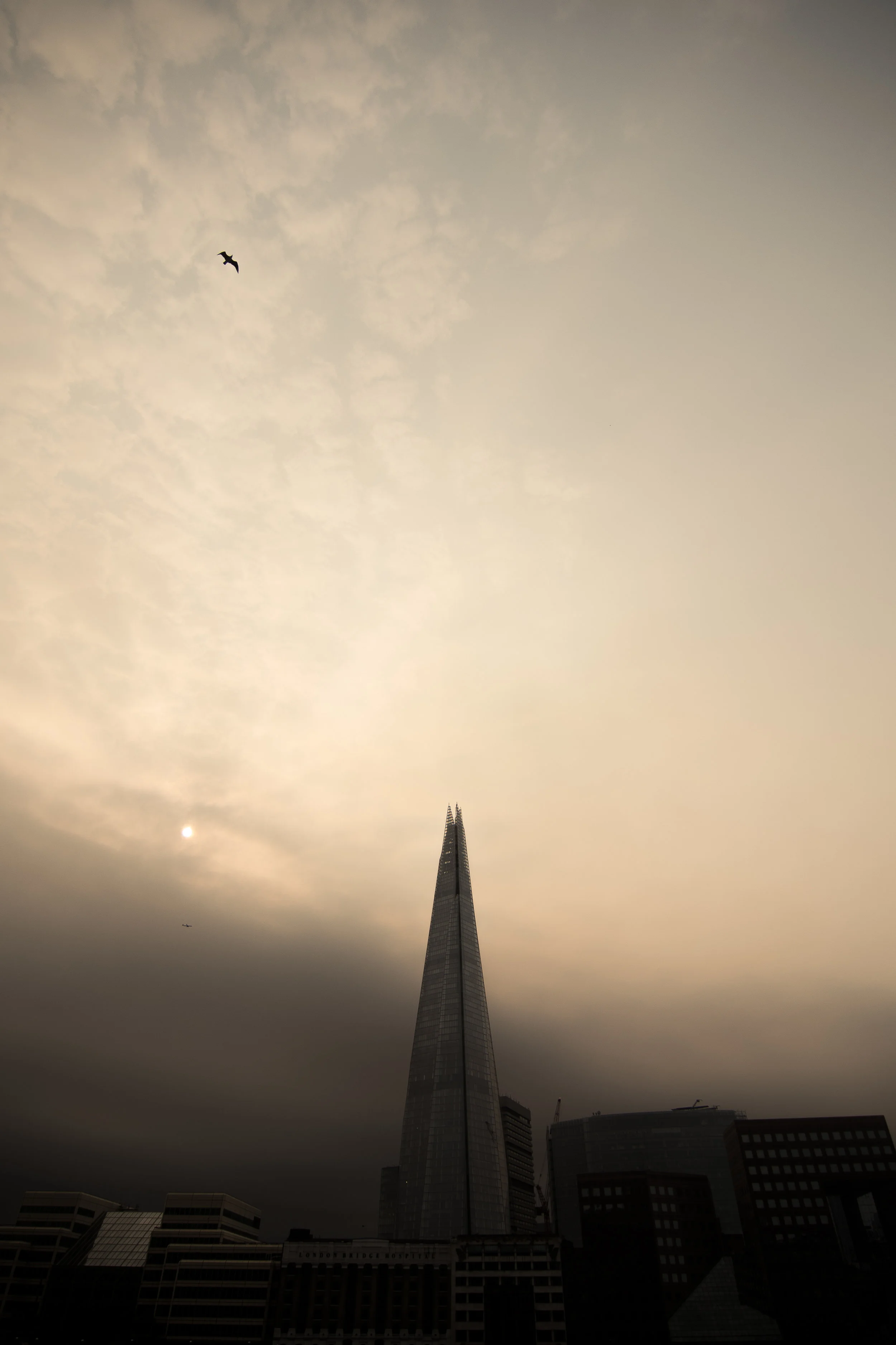 DSC_3611.jpg
