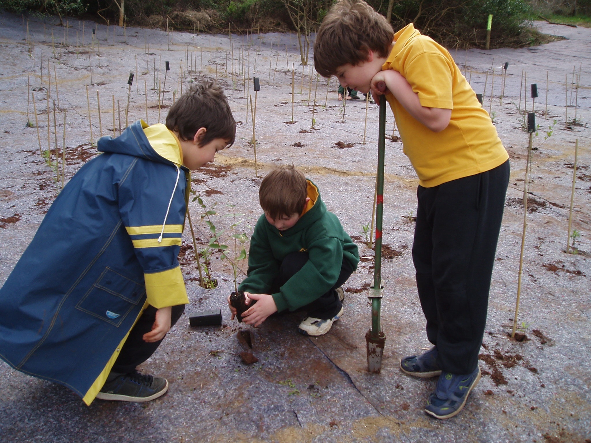 Planting at Pepi's Land Sept 2007