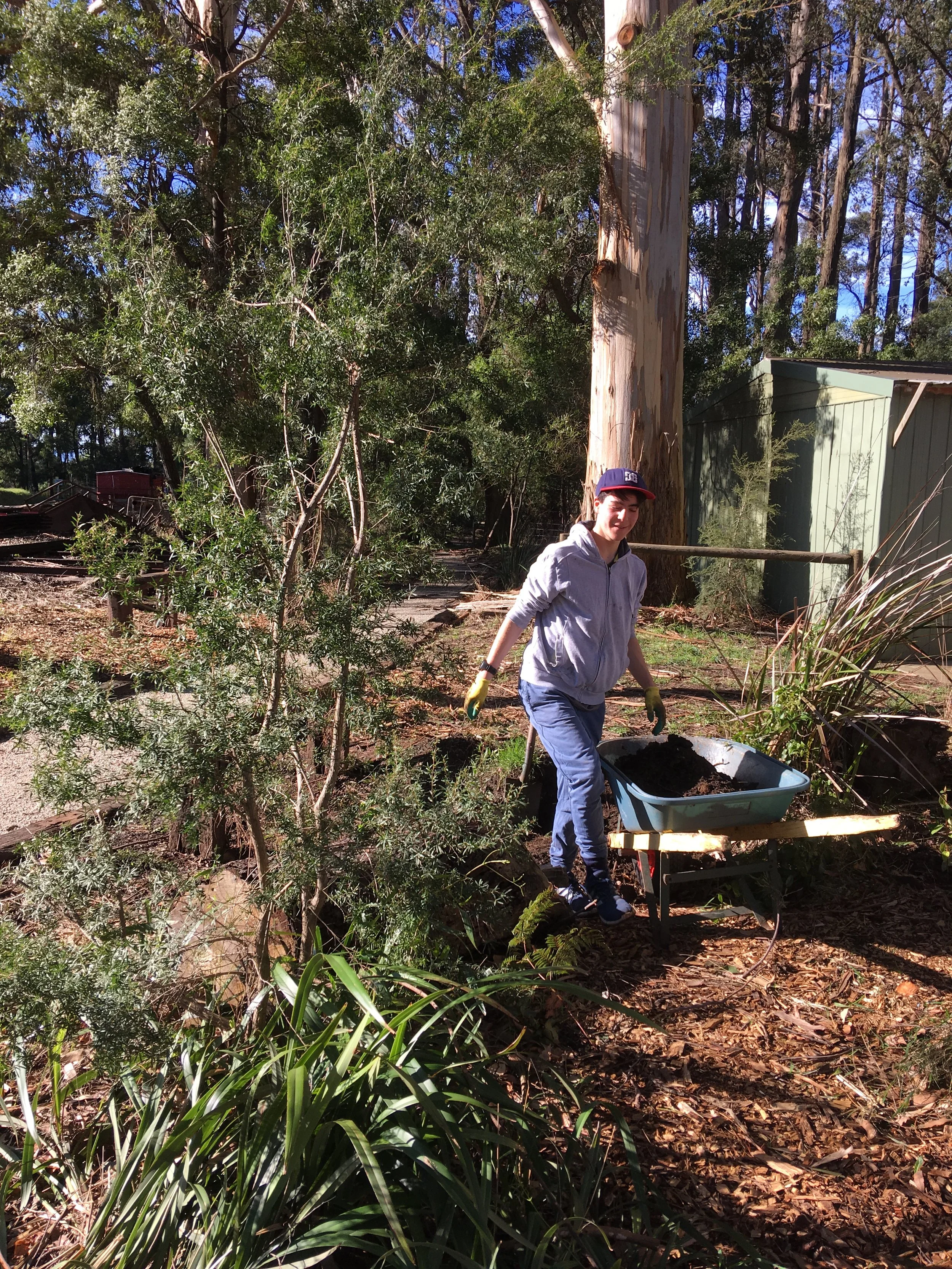 2019-07-20 PB Garden shed plot with Josh 4.JPG