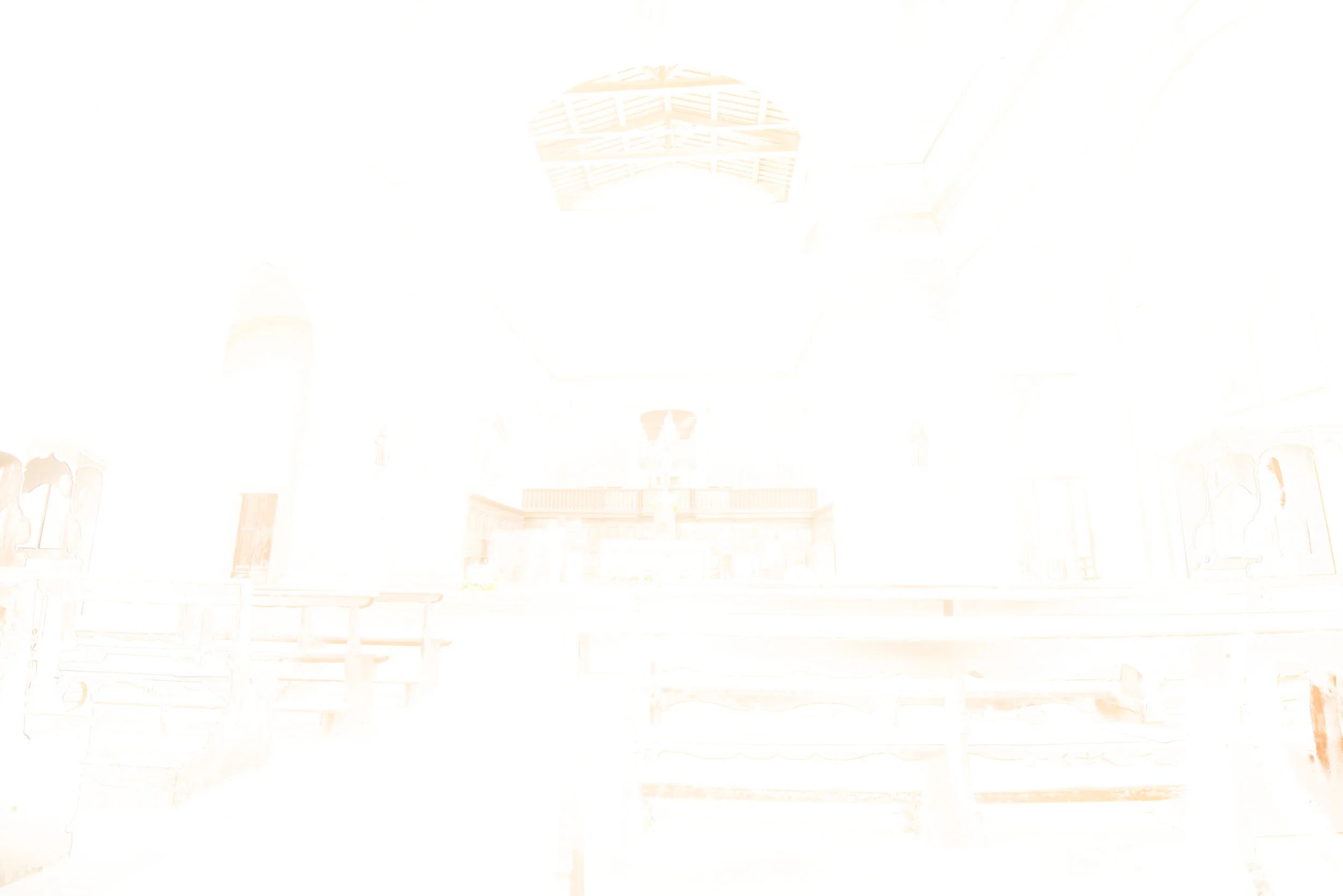 _D809865.jpg
