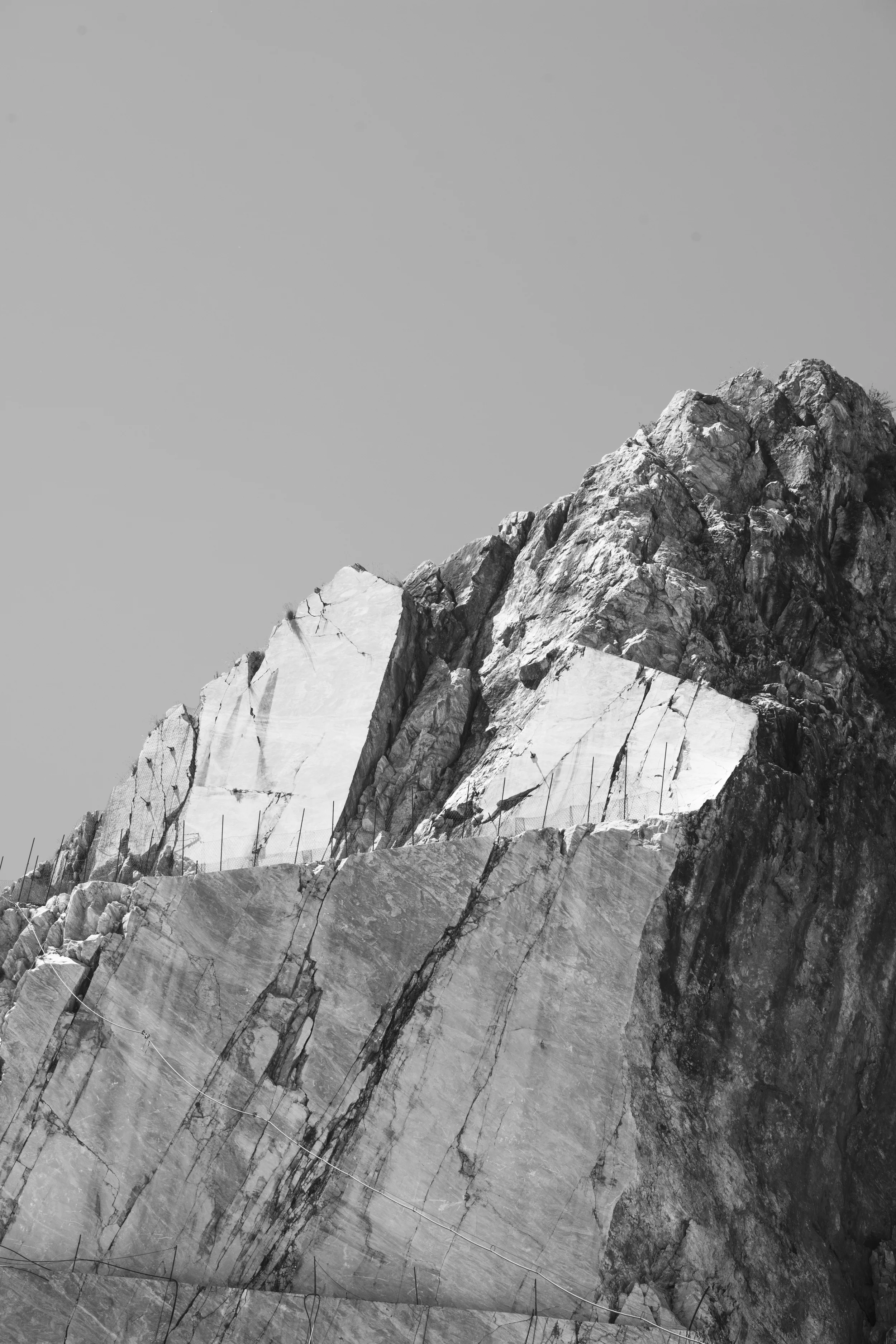 _D800259.jpg