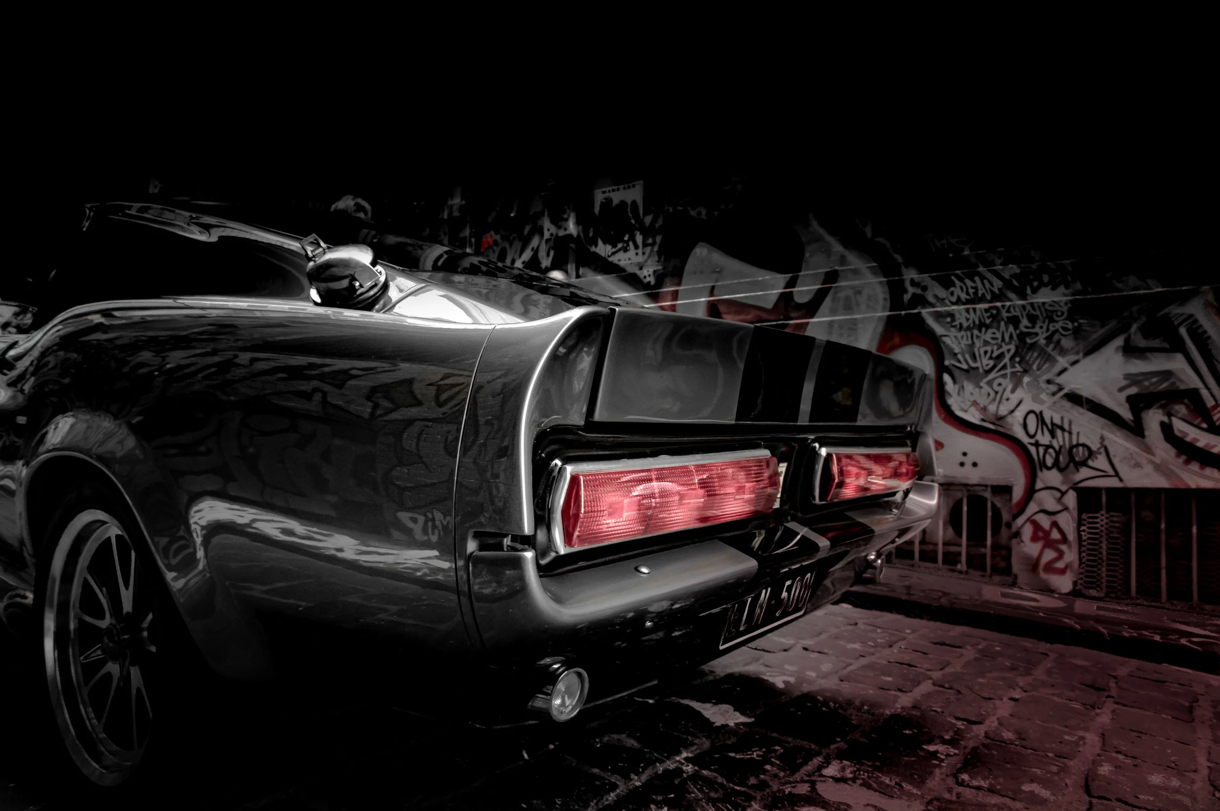 Rear Mustang