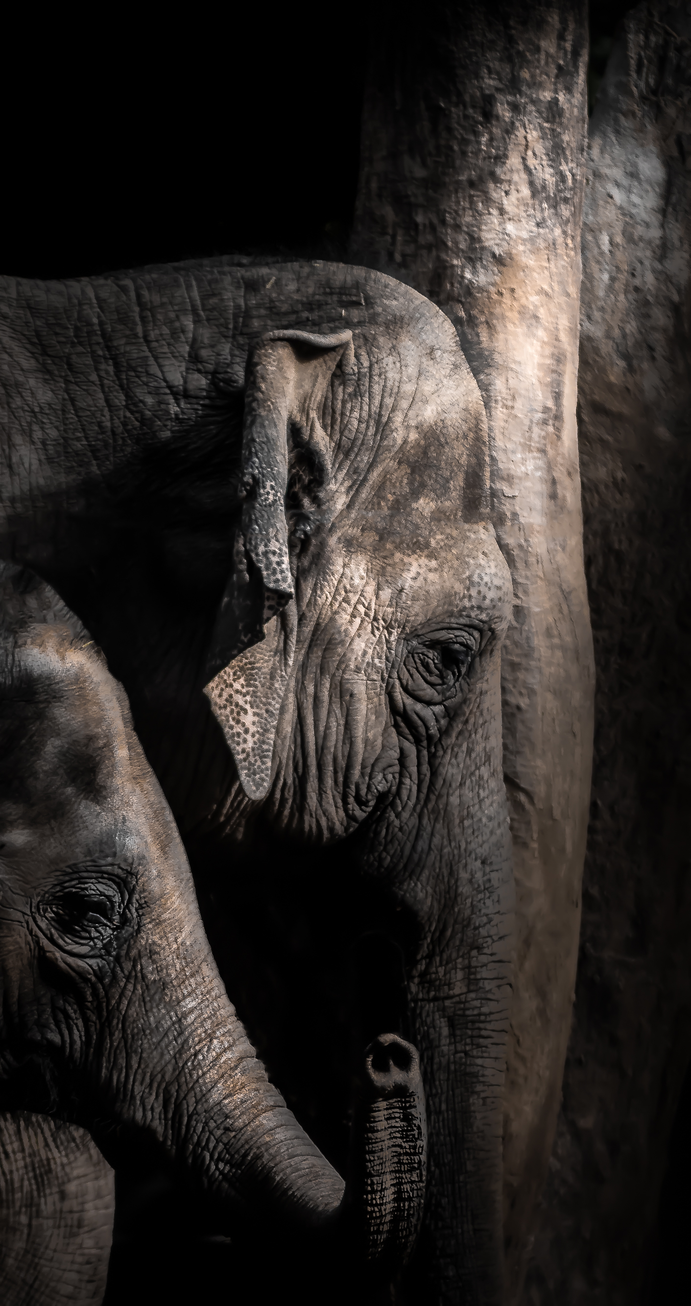 Mother &amp; Baby 