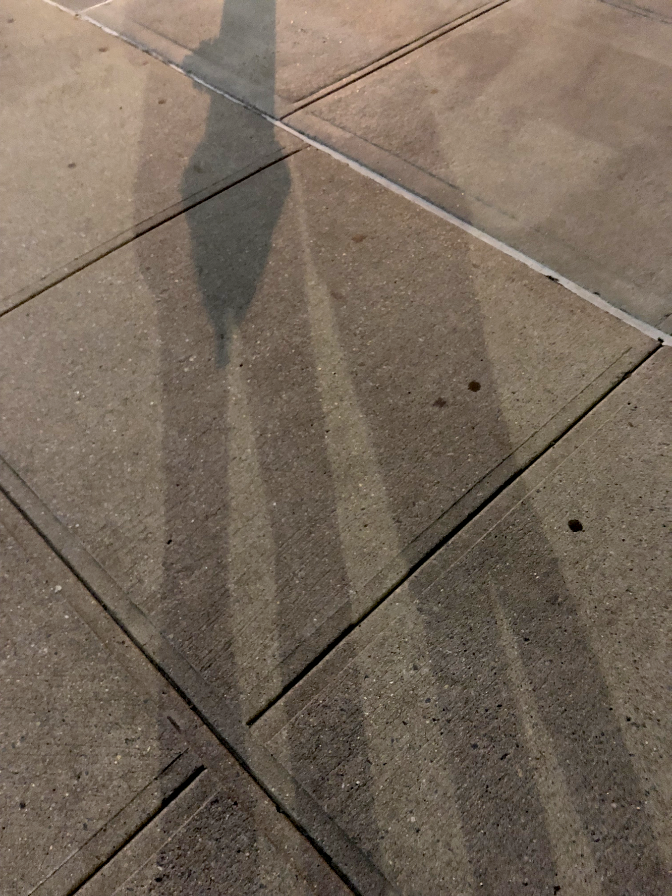 2018NYC01.png