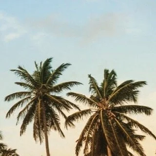 The new season of #WhoDoYouThinkYouAre? has begun! Check out my recap of the #BBC series&rsquo; moving second episode, which explores the fascinating #Caribbean roots of @naomieharris. Click on the link in my bio to read the full review! #caribbeanan