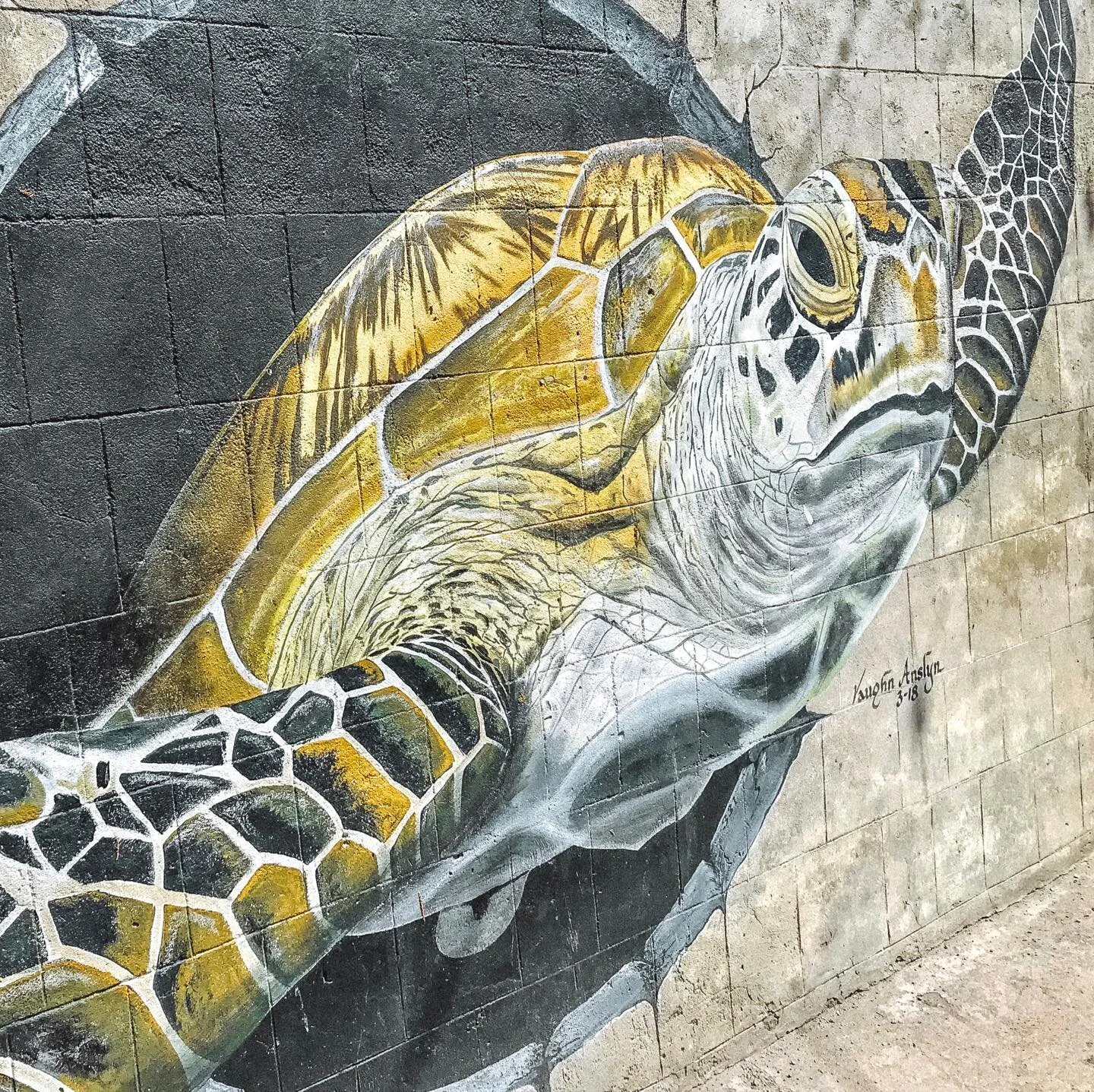 Street mural in historic Charlestown #nevis #nevisnice #streetart #caribbean #westindies #genealogy #ancestry #familyhistory #ancestrydna #heritagetourism #caribbeanancestry