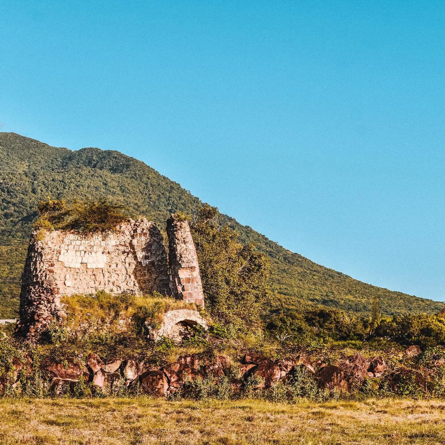 Late afternoon sun over the ruins of Paradise (also known as Bowrin&rsquo;s Estate)