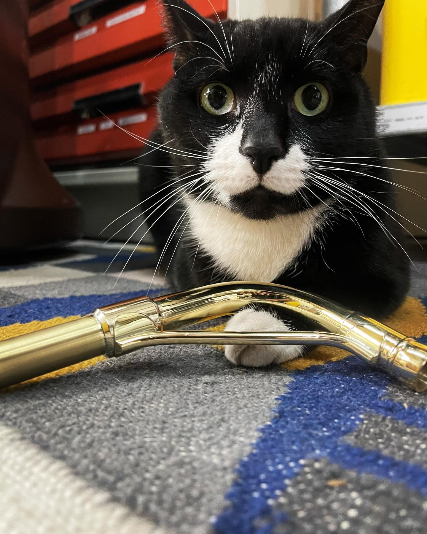 When the neck hurts your neck, it must be bent! 
Mickey makes anything look good, especially sousaphone necks!

#SweeneyBrass
#strip 
#quality
#shopcat
#custom
#patina
#trombone 
#basstrombone 
#doneright 
#modification
#rebuild
#custom
#refurbish
#f