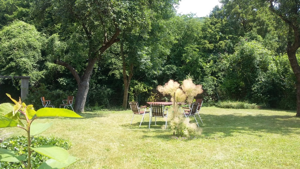 thumb_20180617_124207_1024.jpg