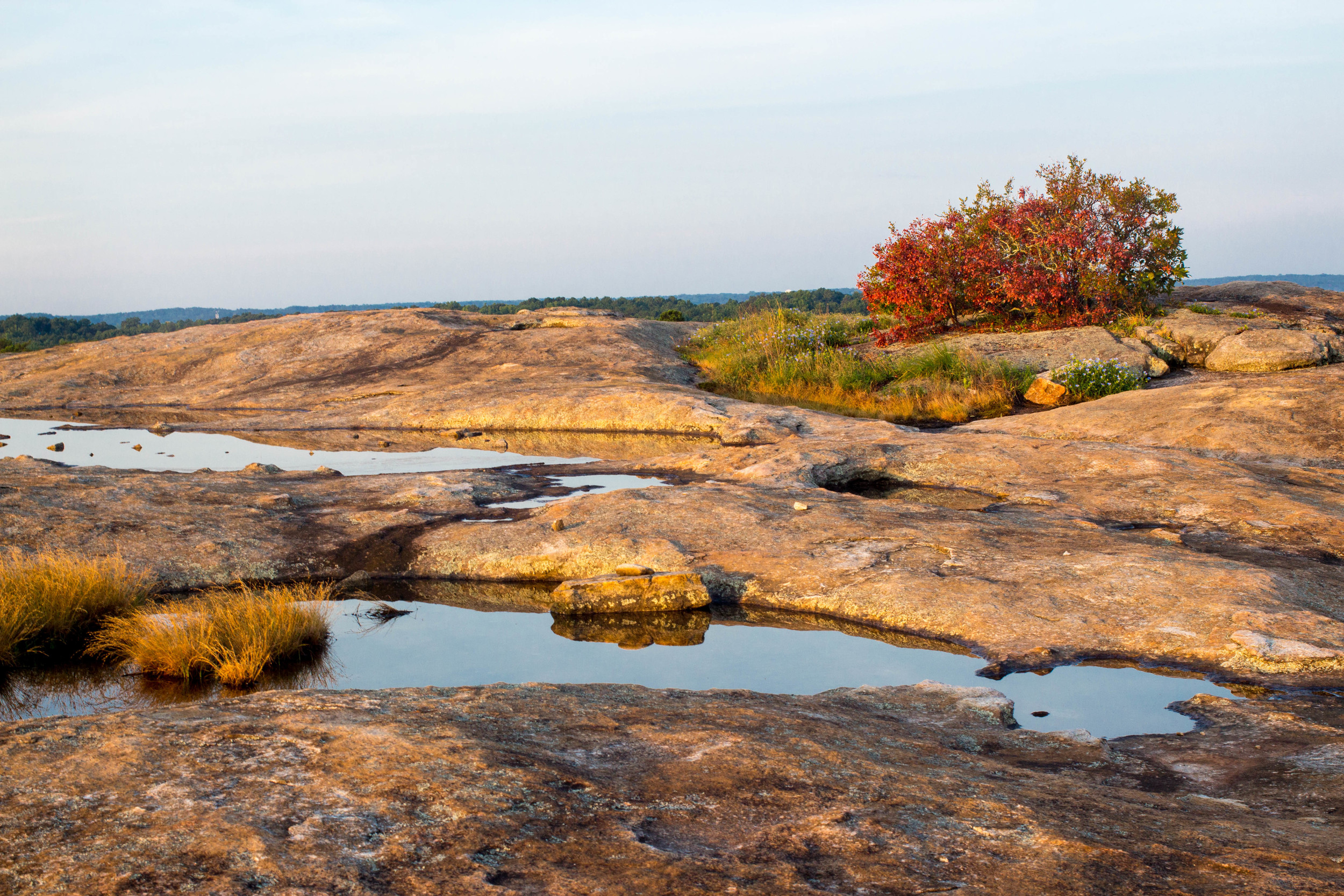 Arabia Mountain National Heritage Area Creative Loafing