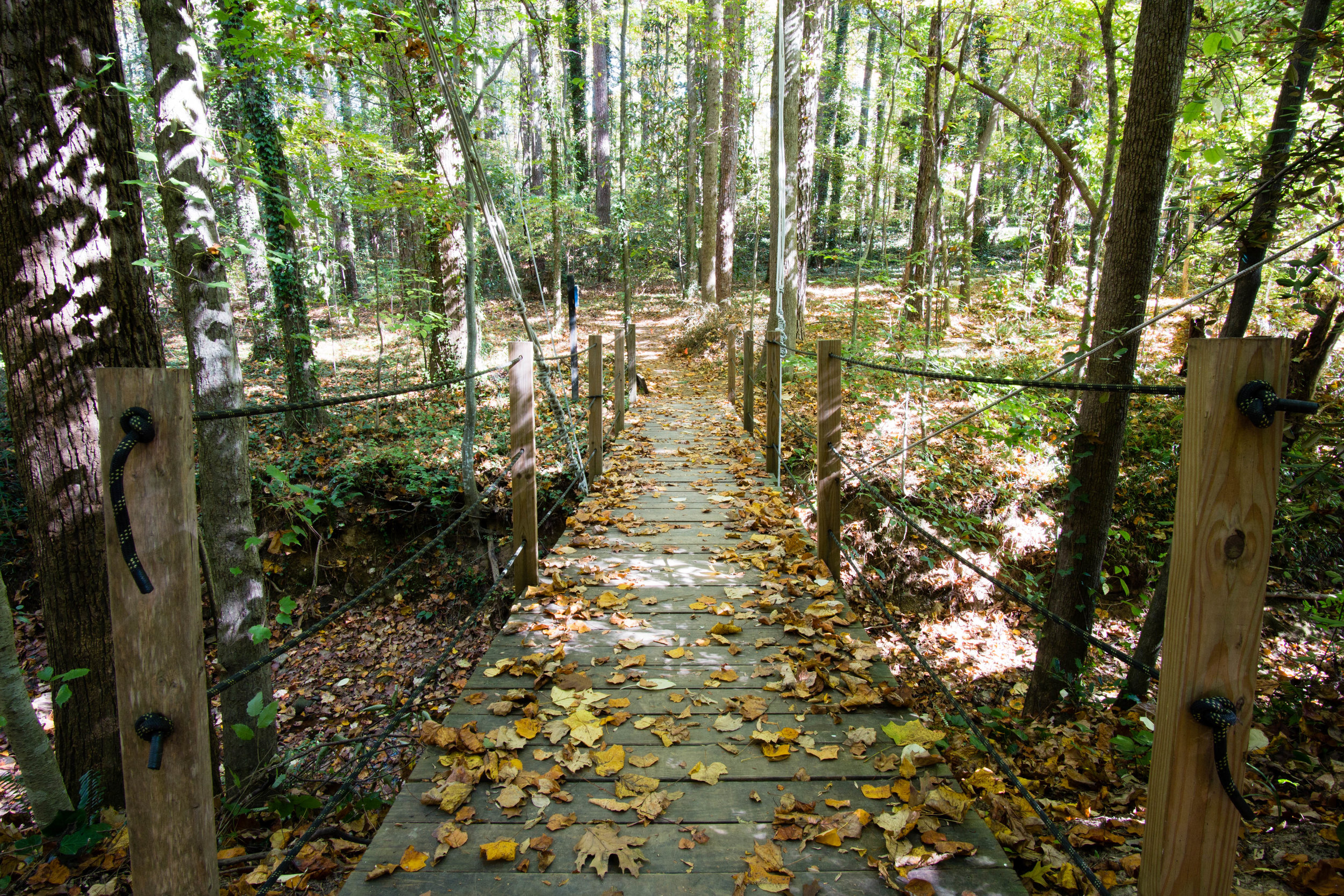 Nantahalla Crossing, Eagle Scout service project of Levi Siegelman, October 2012, photo from November 5, 2016