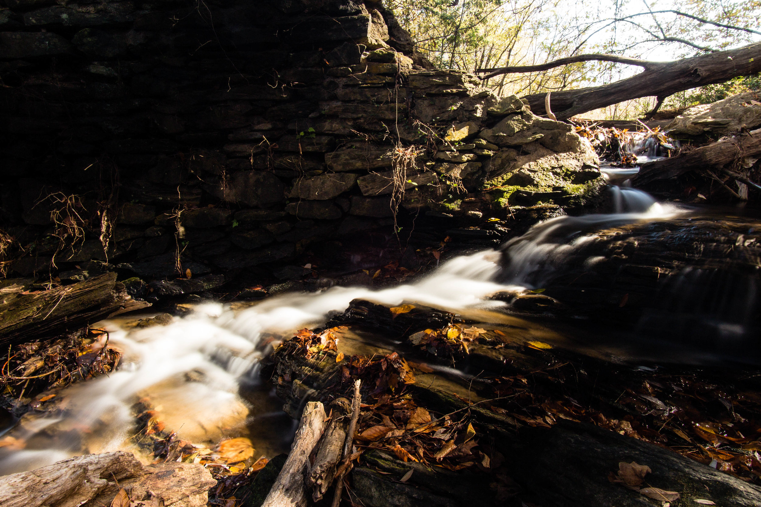 Eidson Mill Trail, November 16, 2016