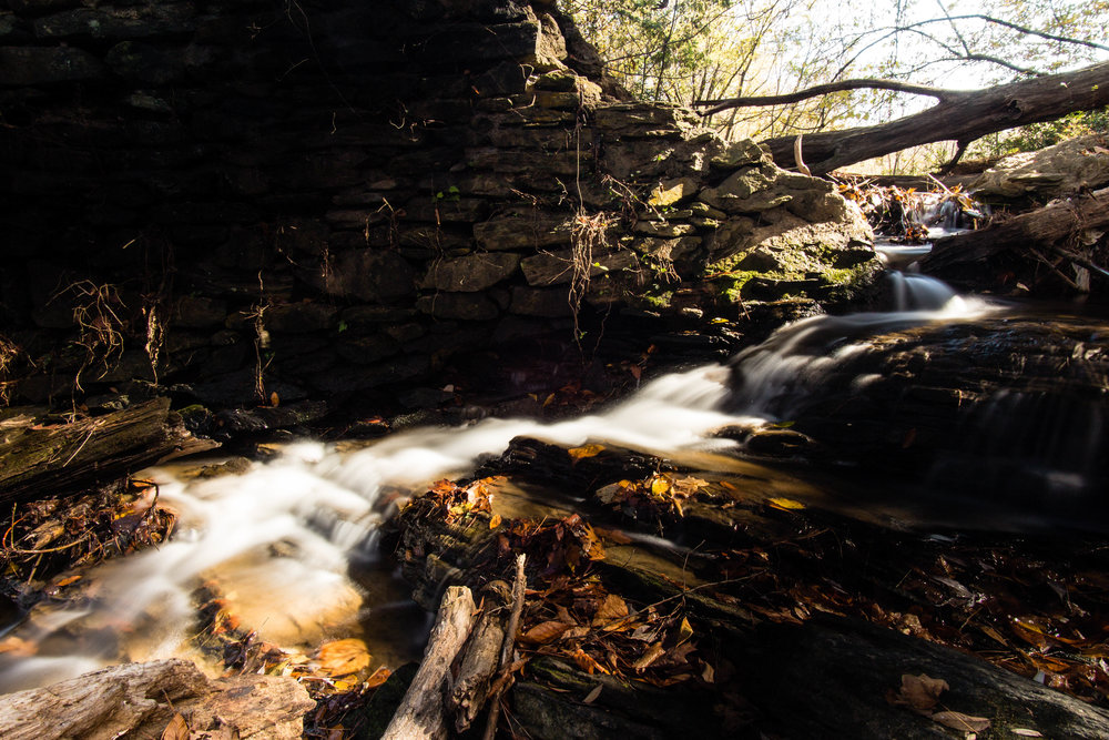 Eidson Mill Trail, November 16, 2016