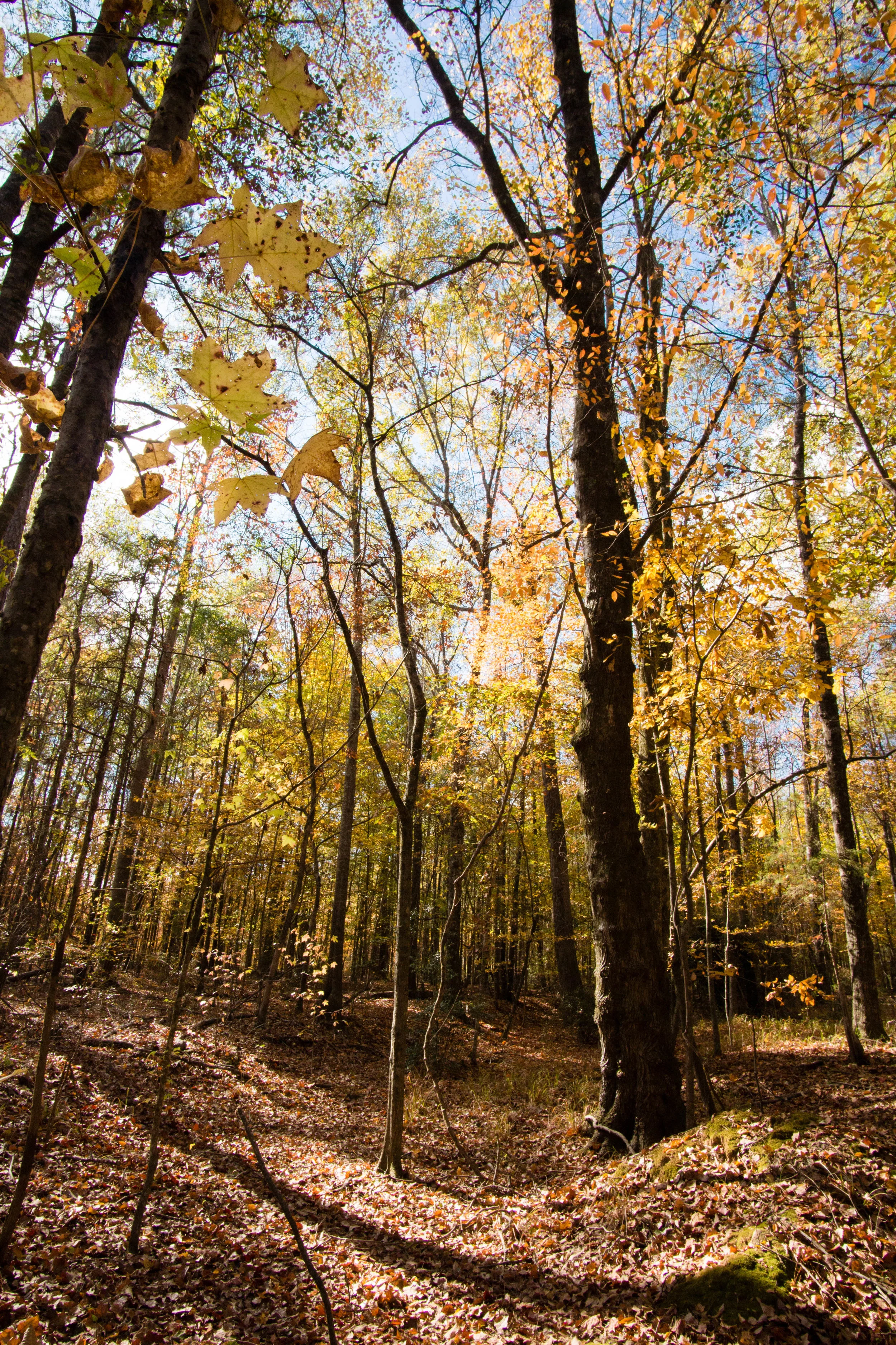 Holloway, November 24, 2016