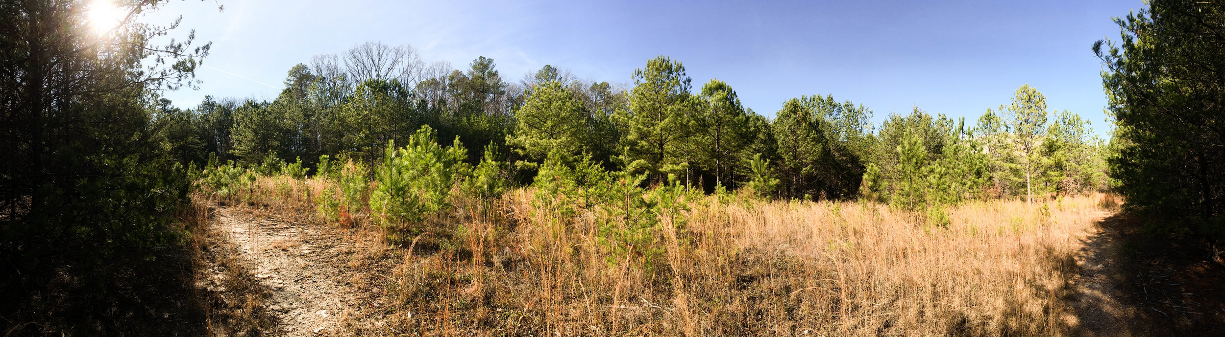 Songbird Habitat Trail, January 5, 2017