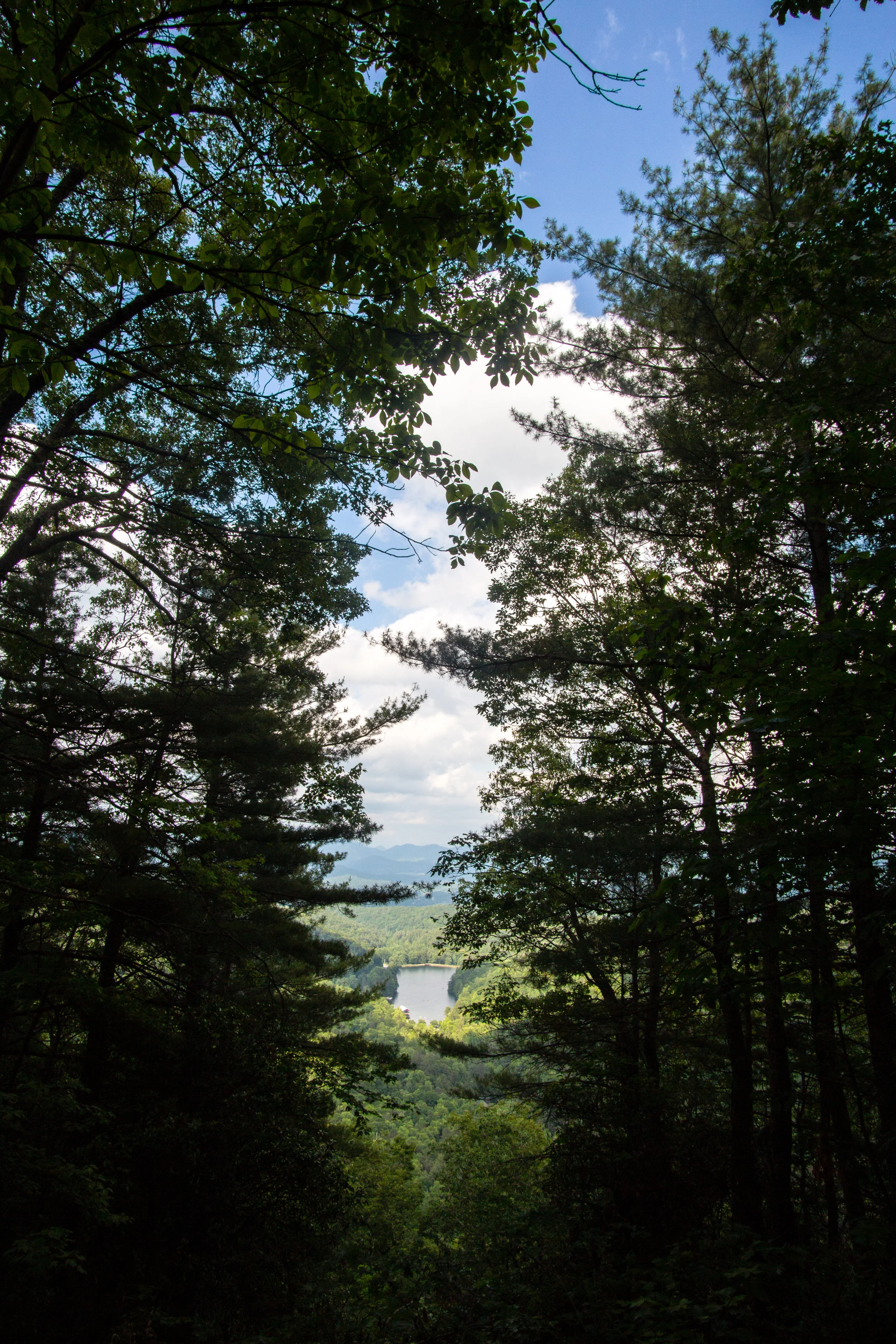 Vogel Overlook, Bear Hair Gap Trail