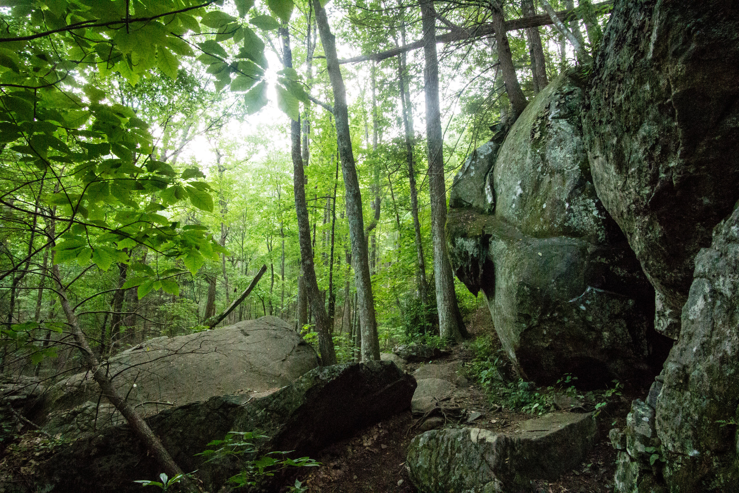 Bear Hair Gap Trail