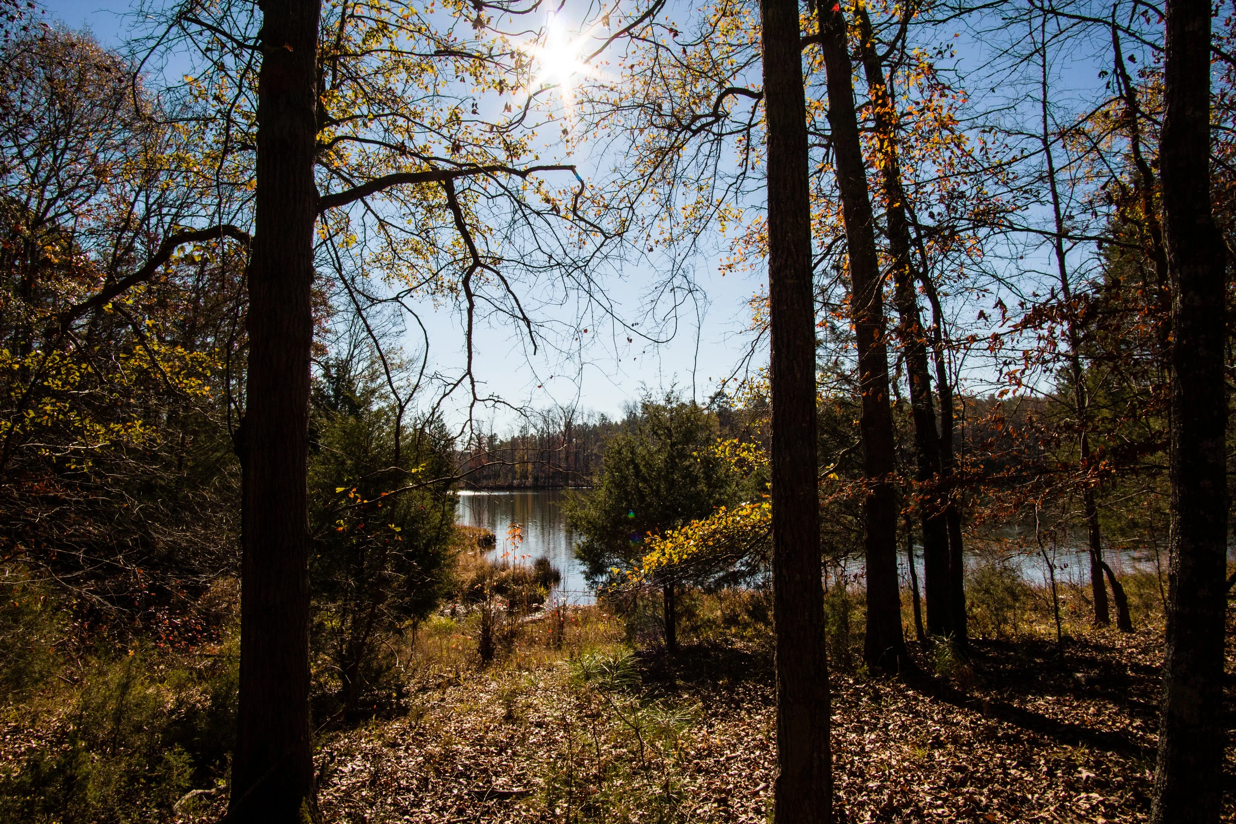 Richard B. Russell Lake