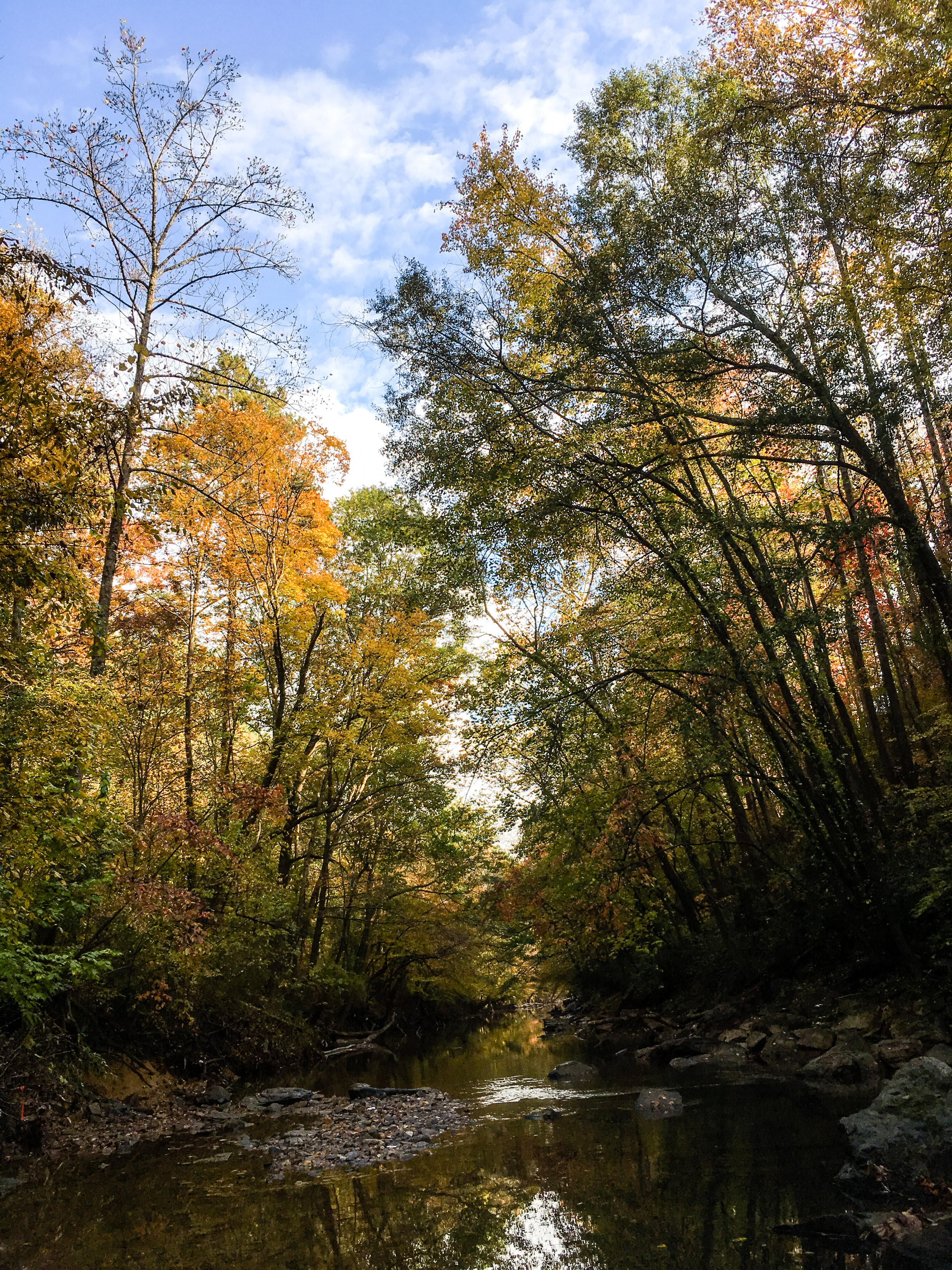 rottenwood creek atlanta rottenwood creek atlanta
