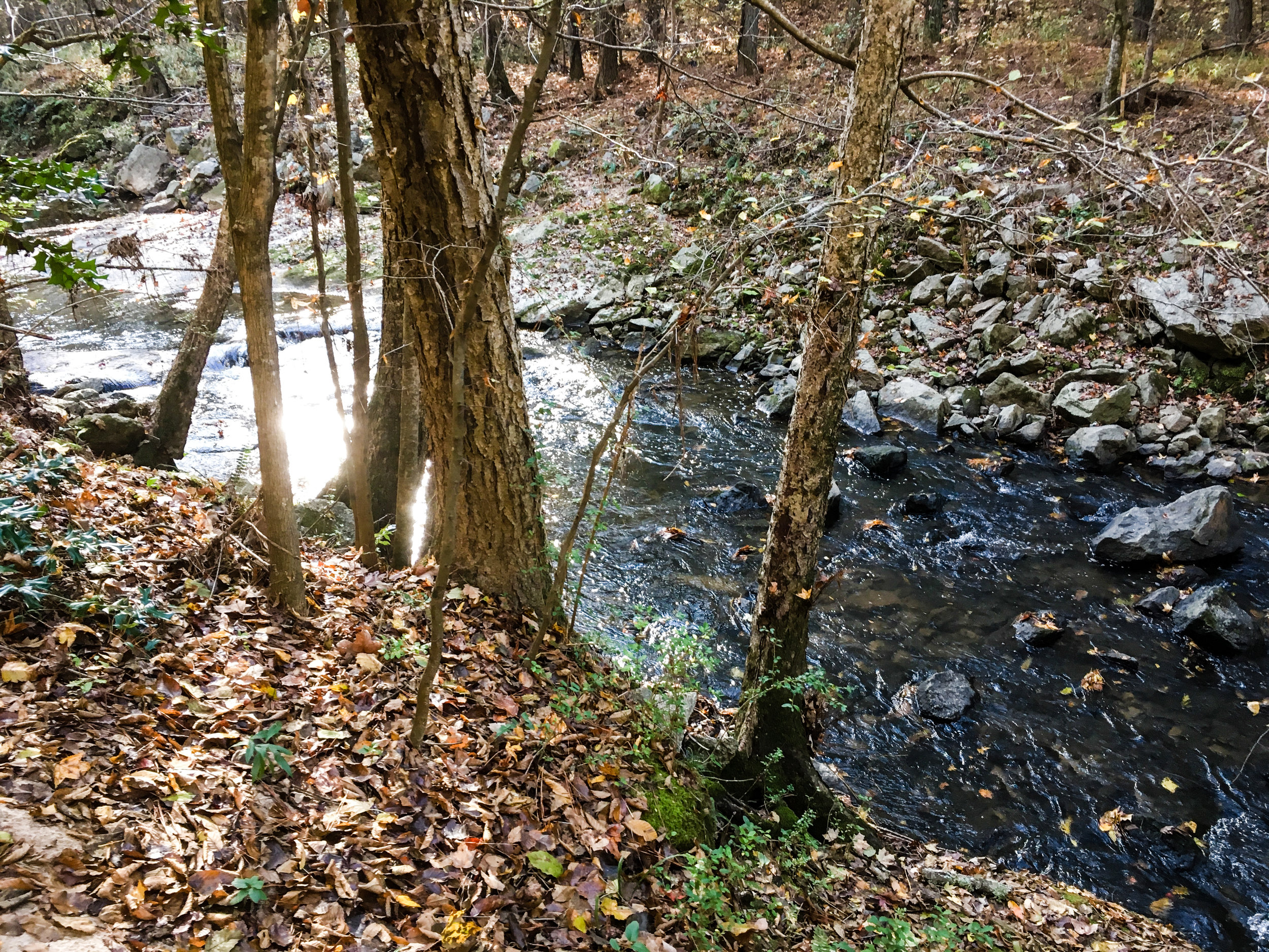 Utoy Creek, November 11, 2017