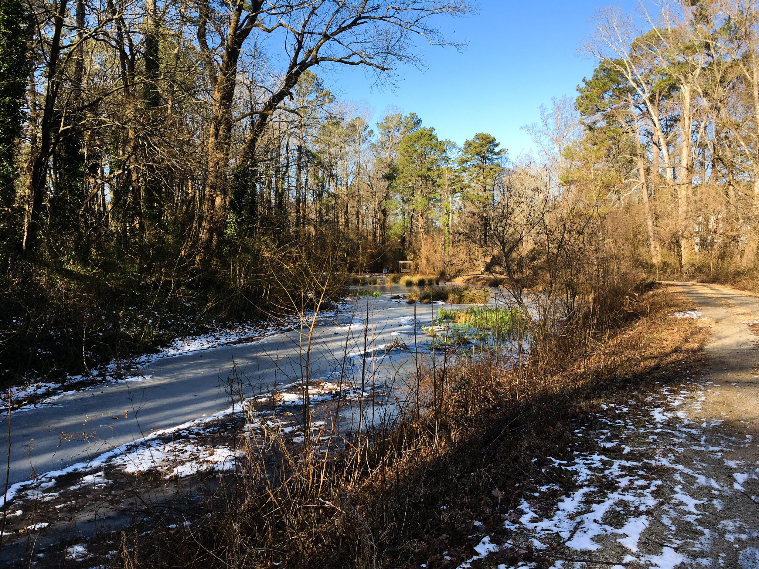 Iced-over Western Wetlands, January 20, 2018