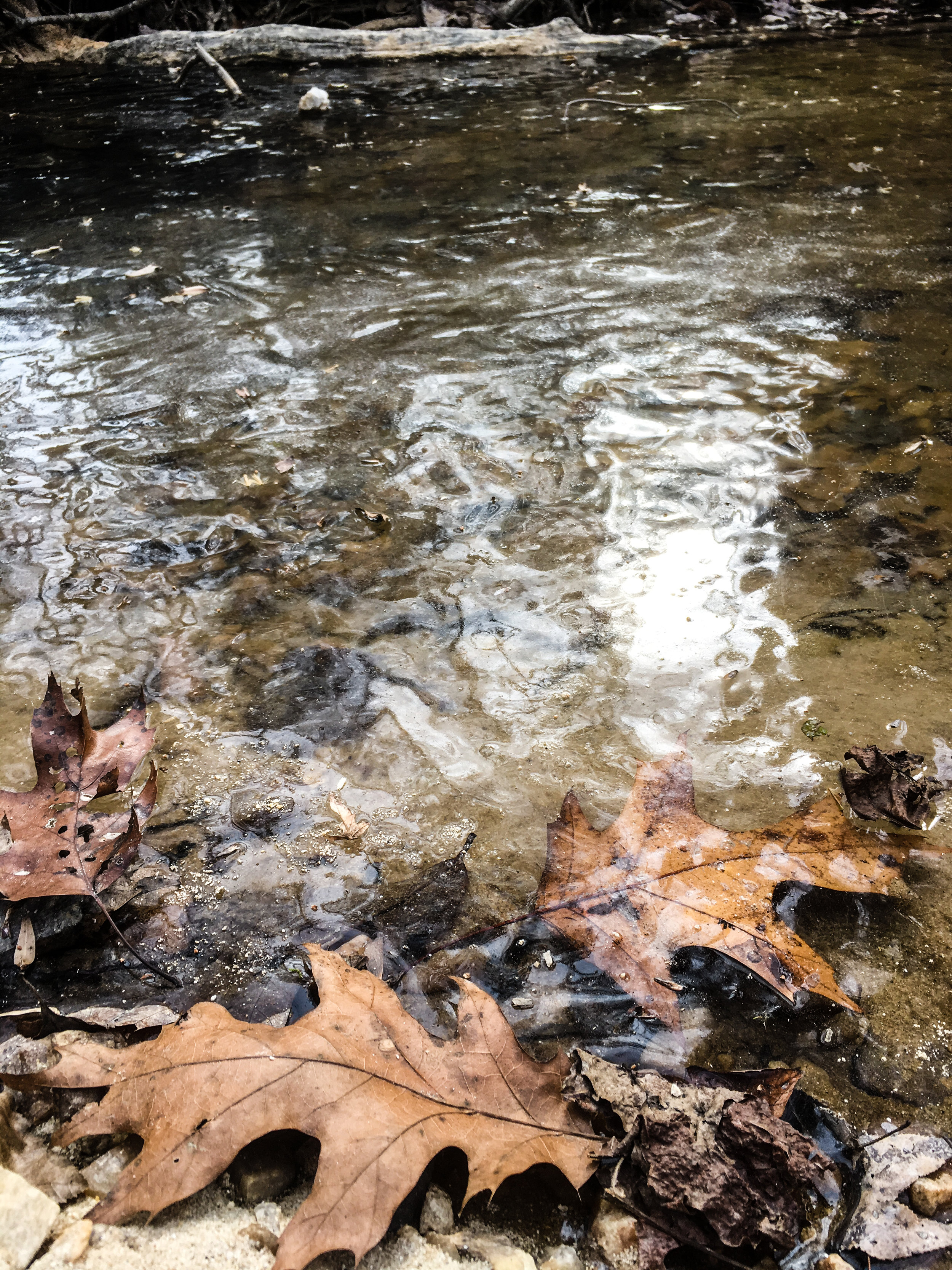 Frozen creek, January 7, 2018