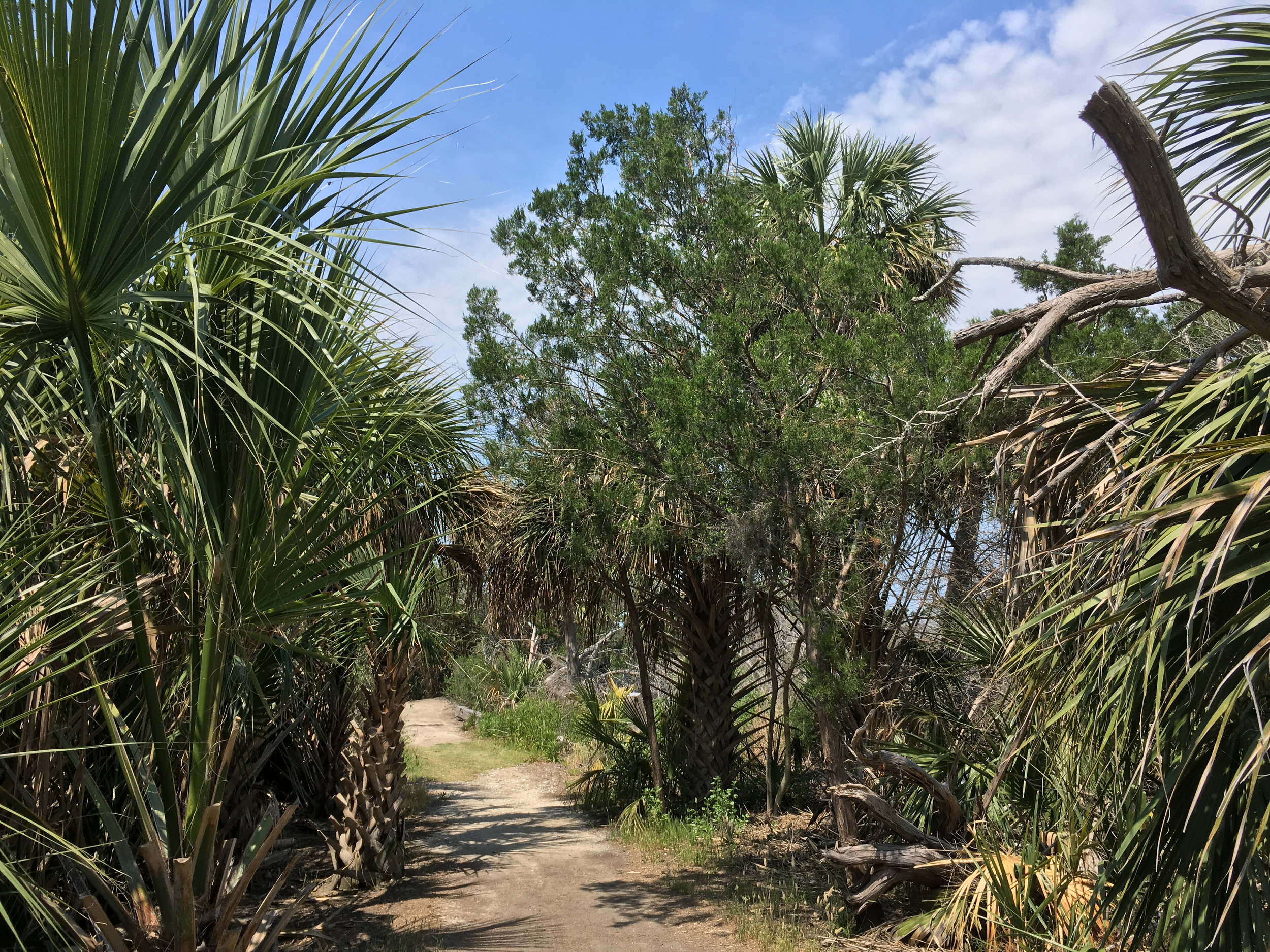 Lighthouse Trail