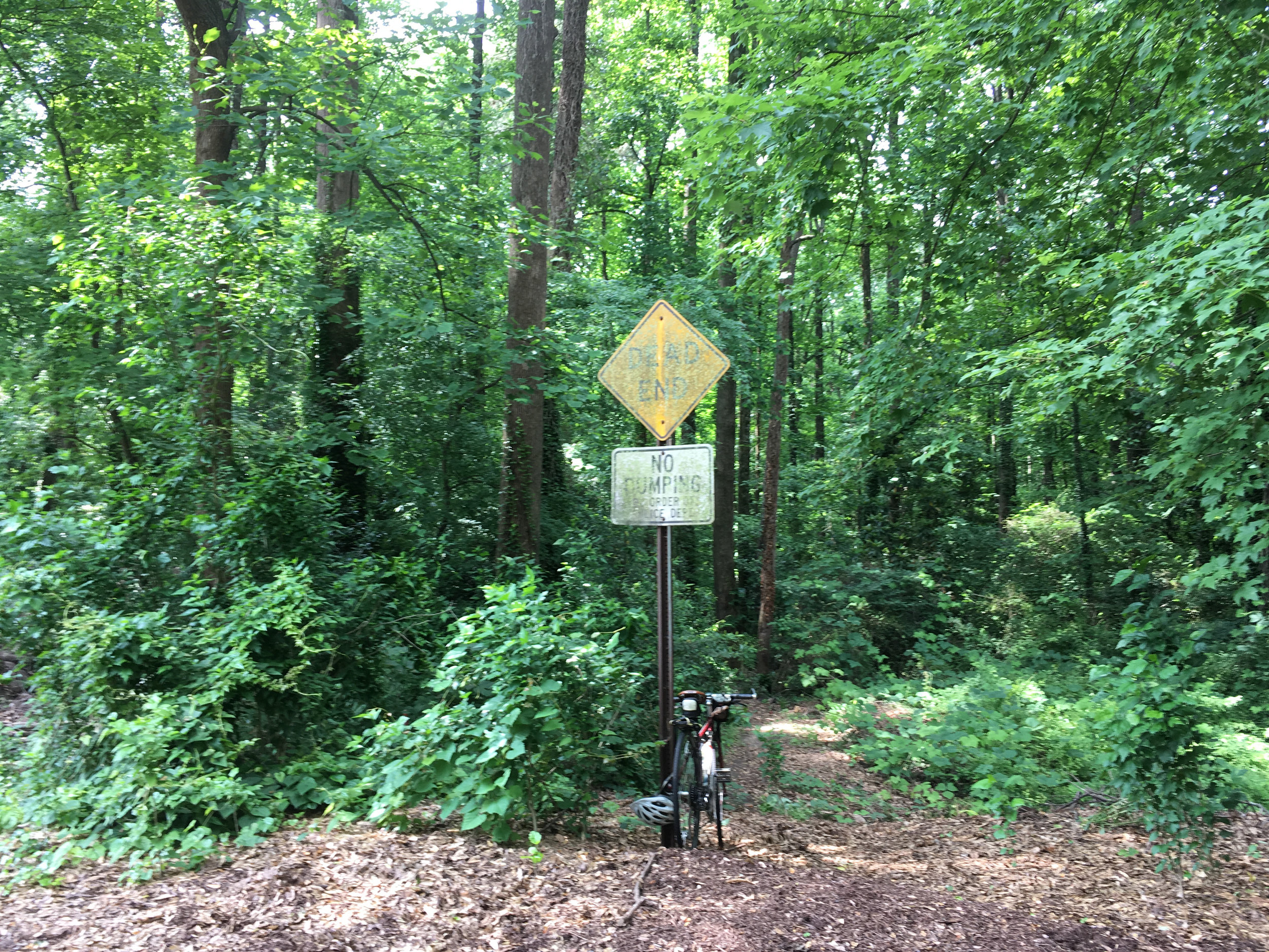 Park Lane trailhead