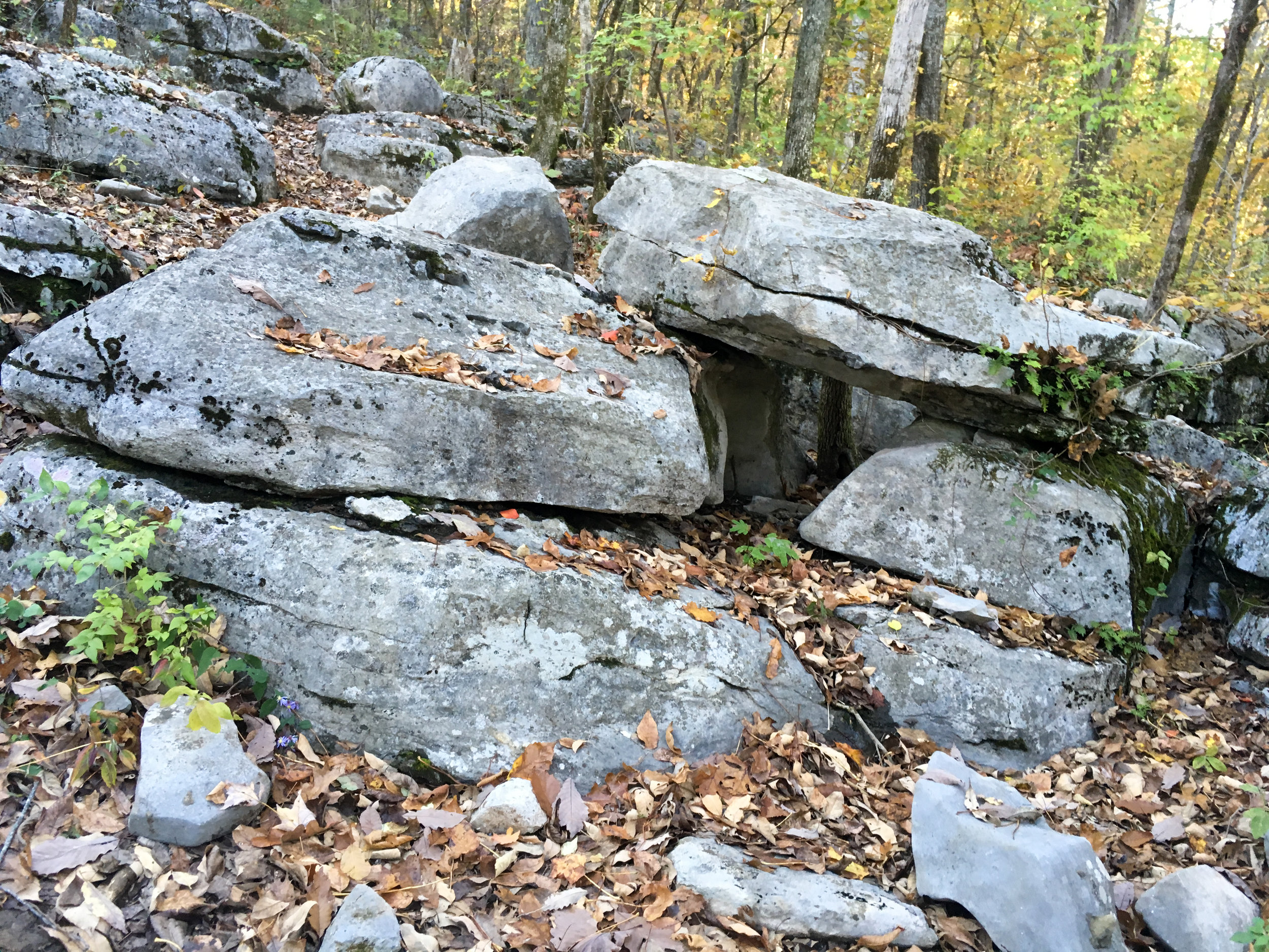 Outside the caverns, near the hiking trails; November 6, 2018