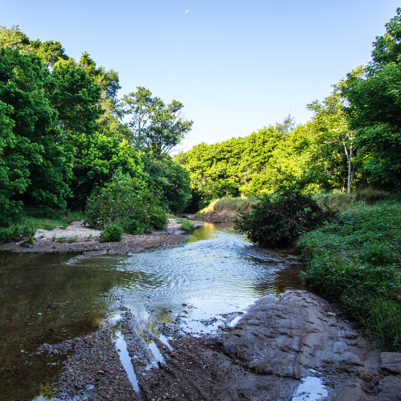 Intrenchment Creek, June 7, 2015