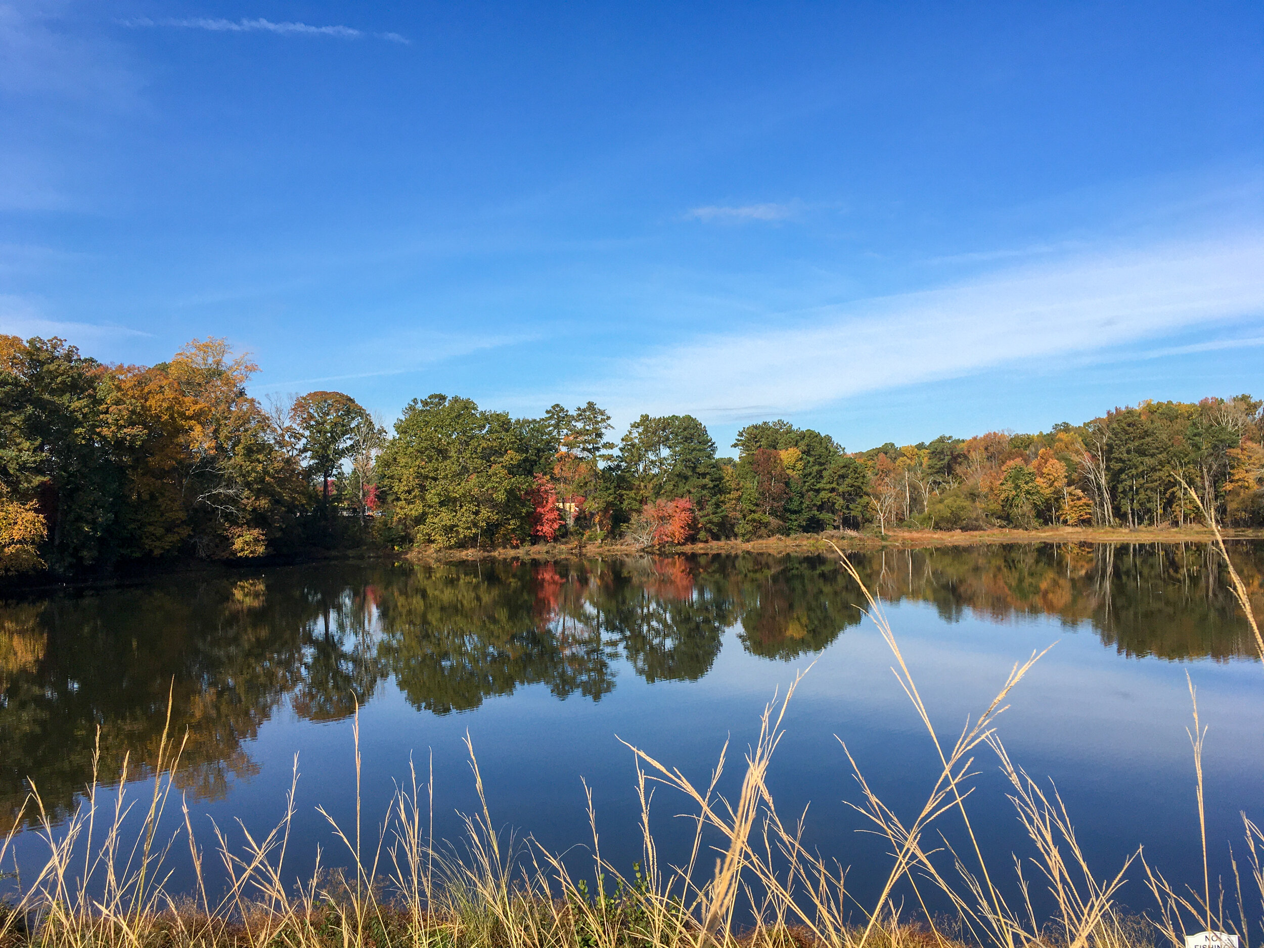 Nelson Lake, November 11, 2019