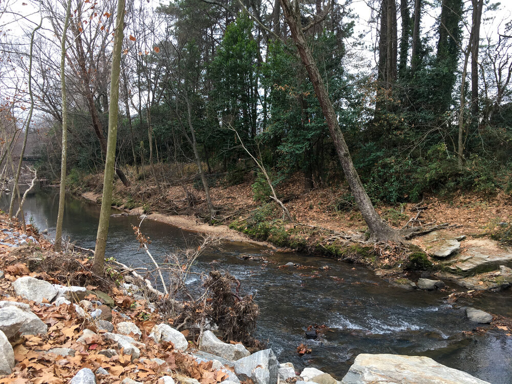 North Fork Peachtree Creek, December 7, 2019