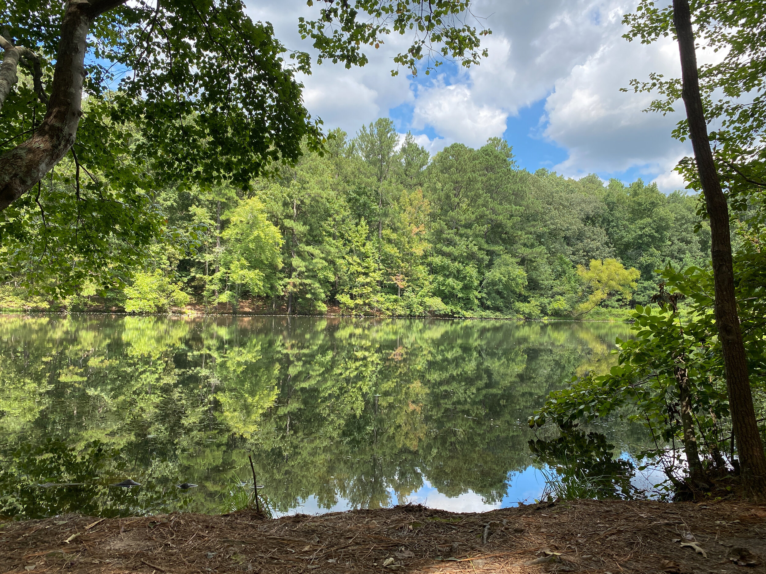 Sibley Pond, September 2, 2021