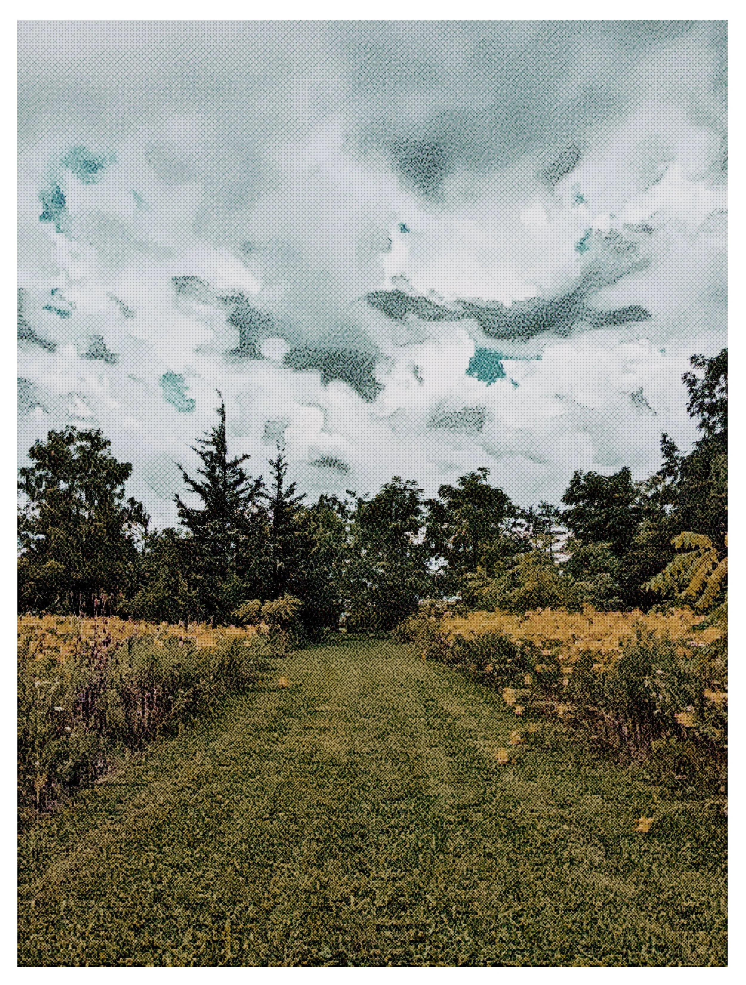 Open Path 2023