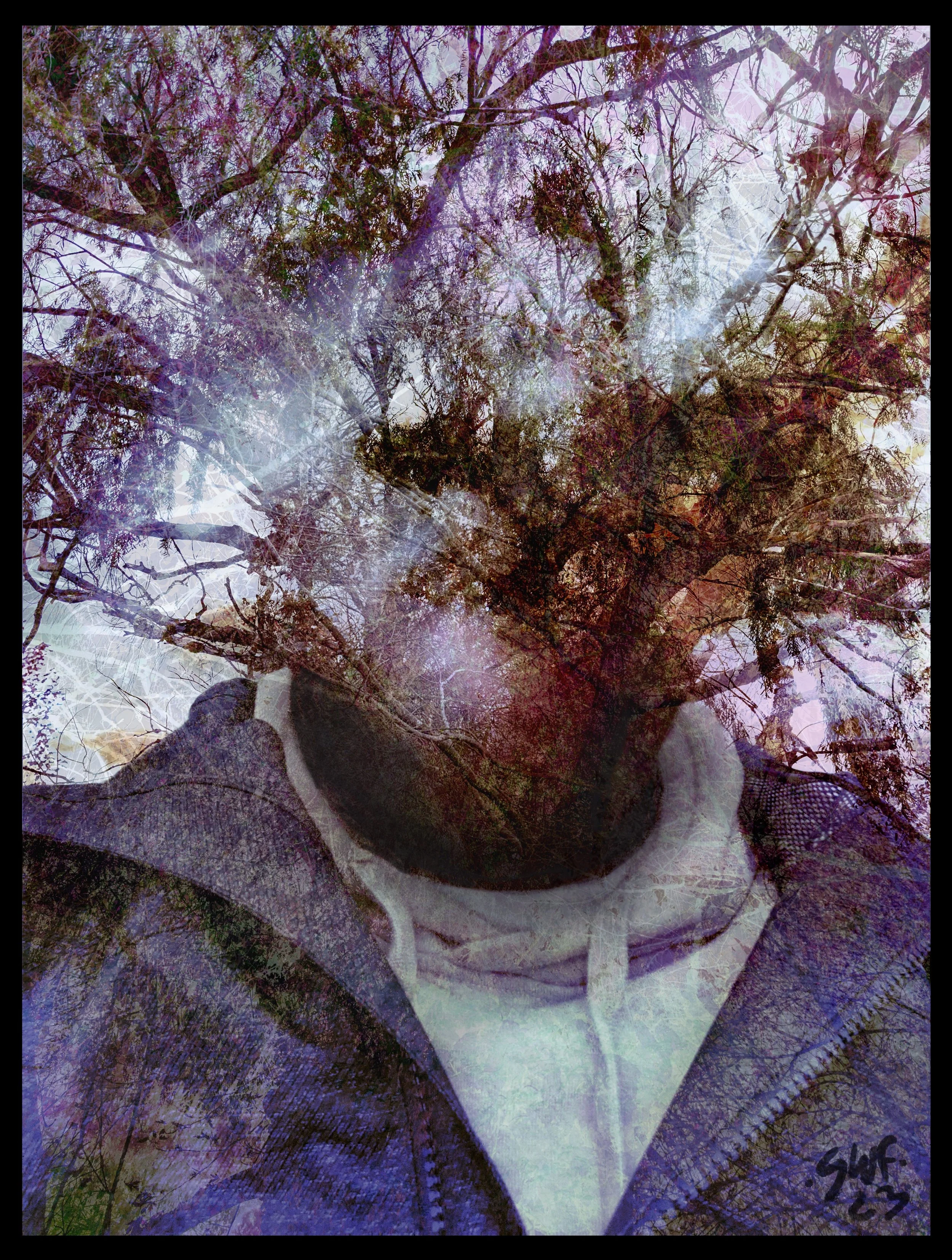 Portrait of Tree #1 2023