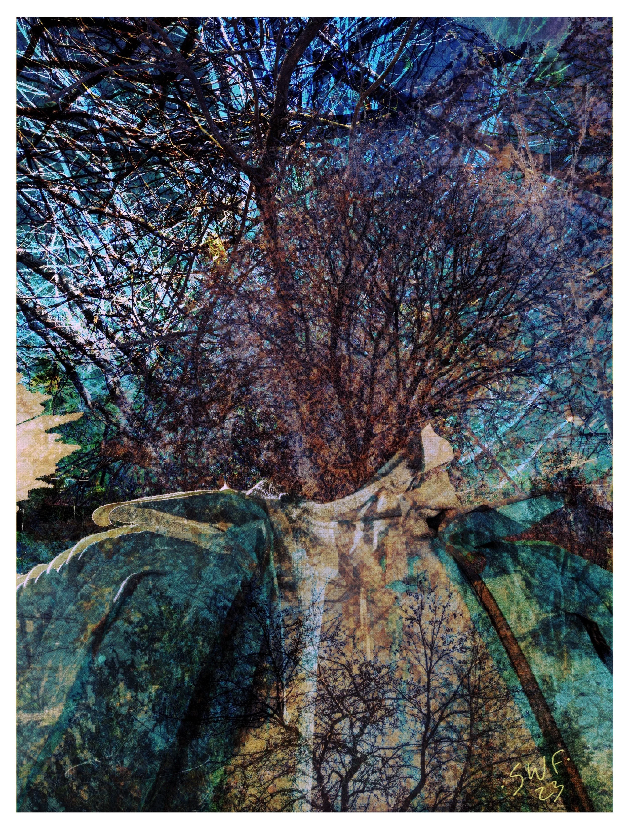 Portrait of Tree #5 2023