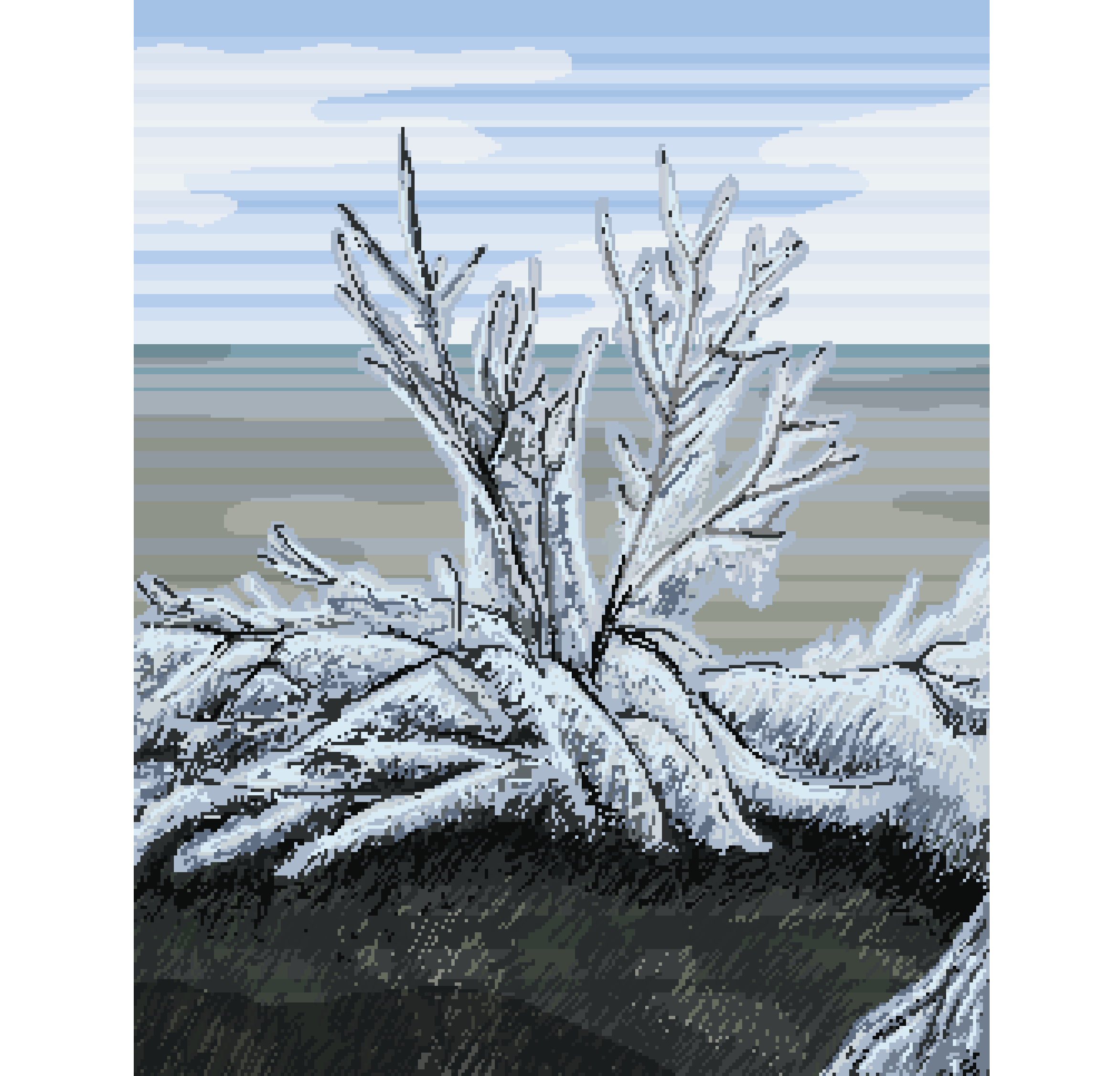 Ice Covered Bush 2021