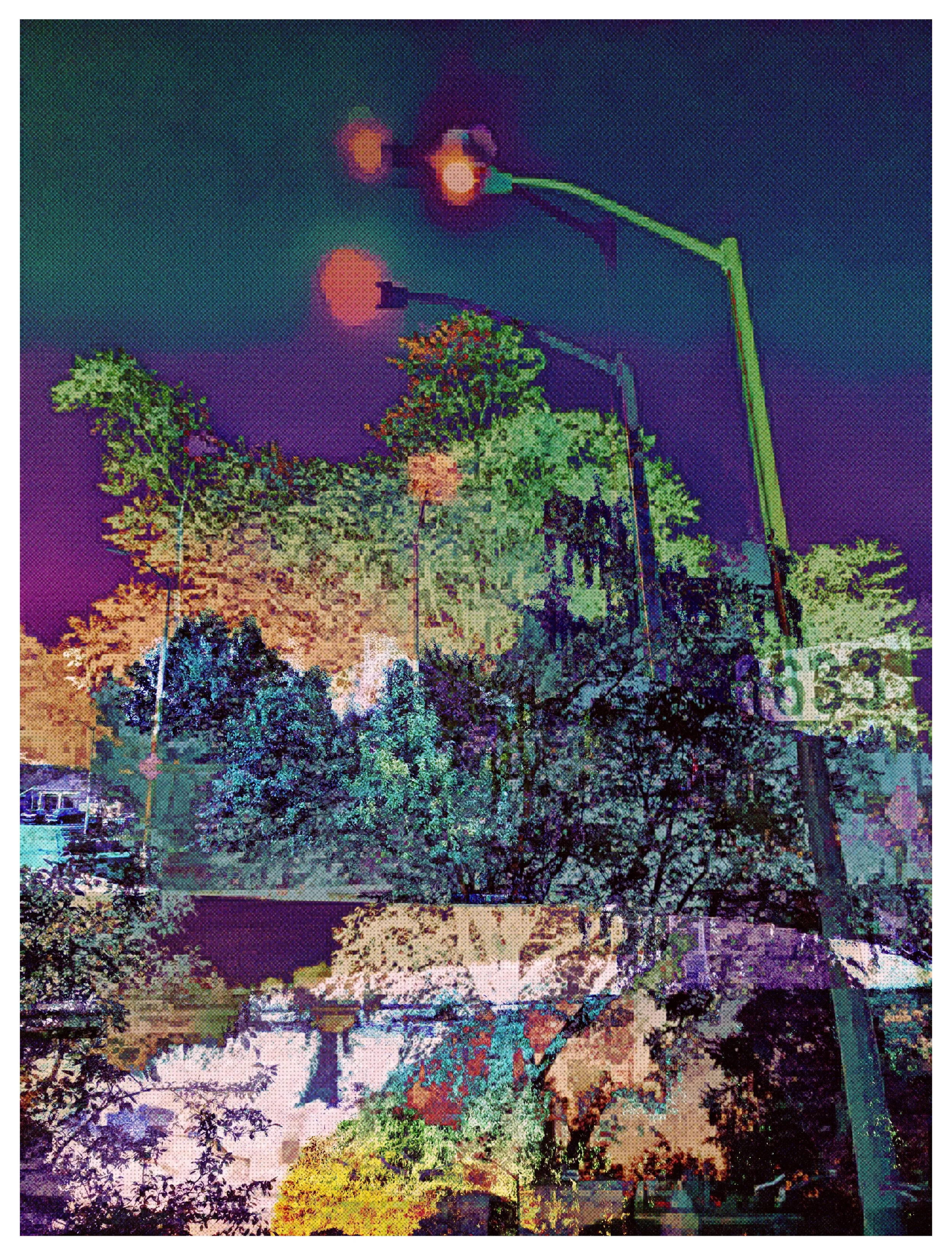 Night Walk #2 2023