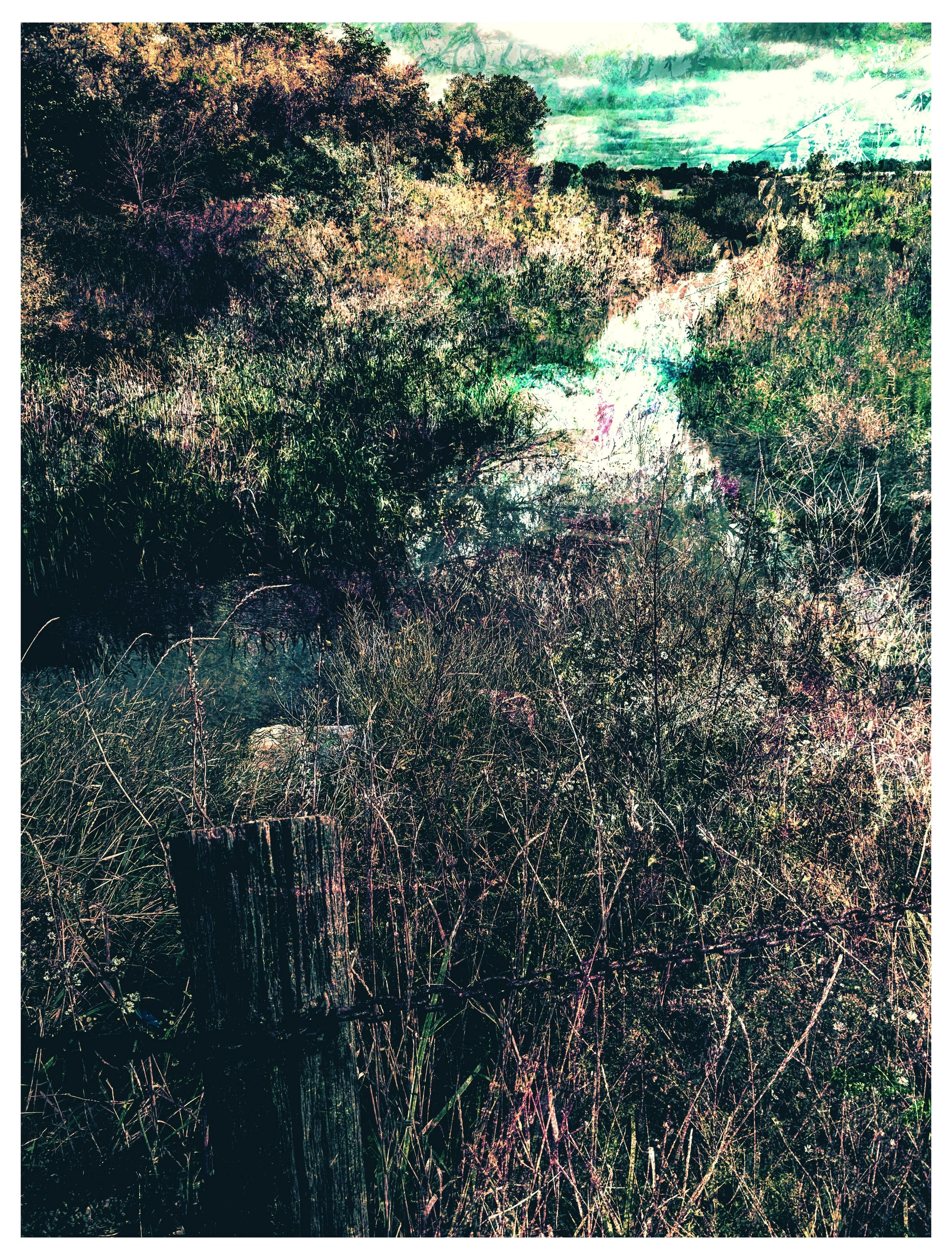Modeland Trail 2023