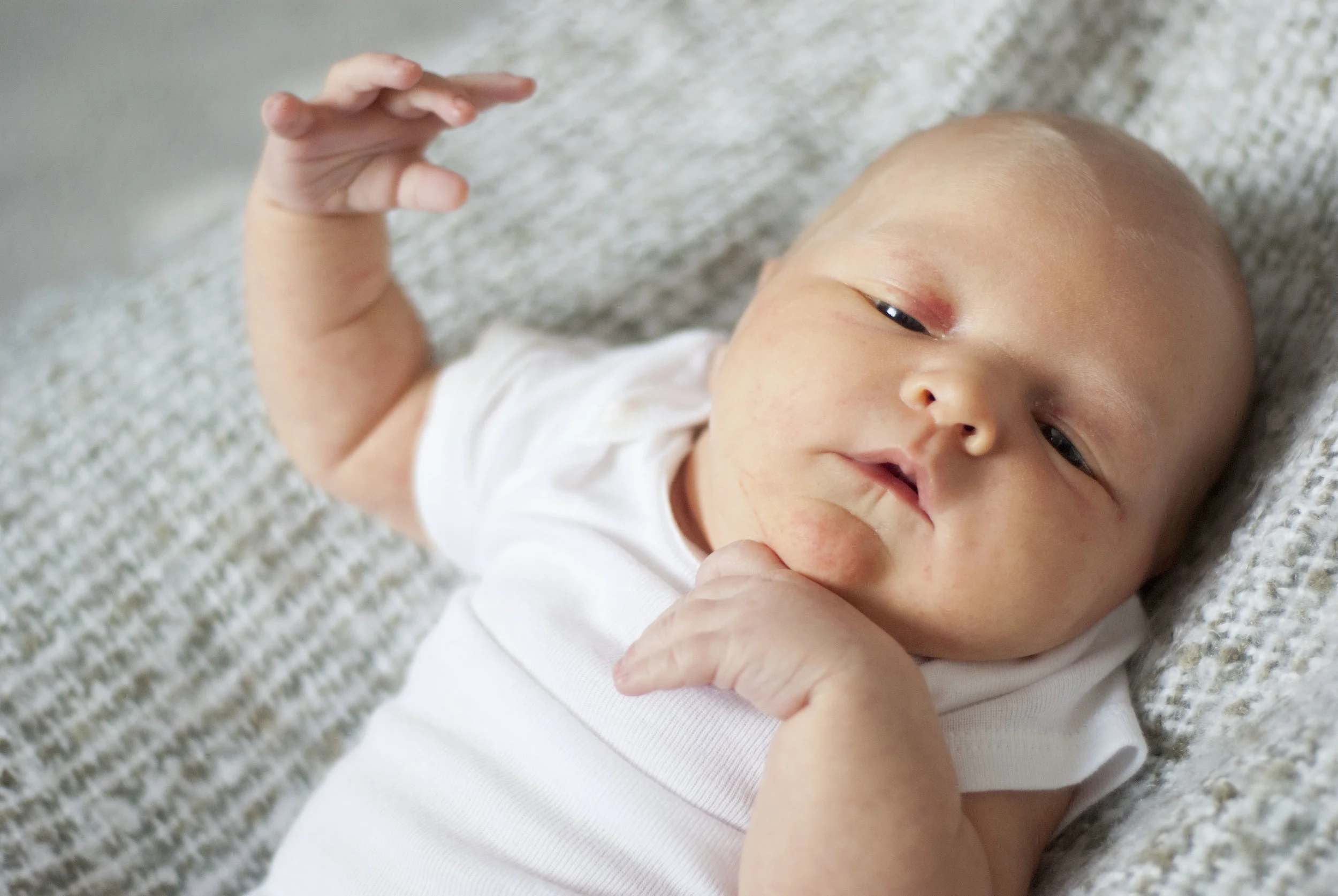 03.12.2017   (10).jpg