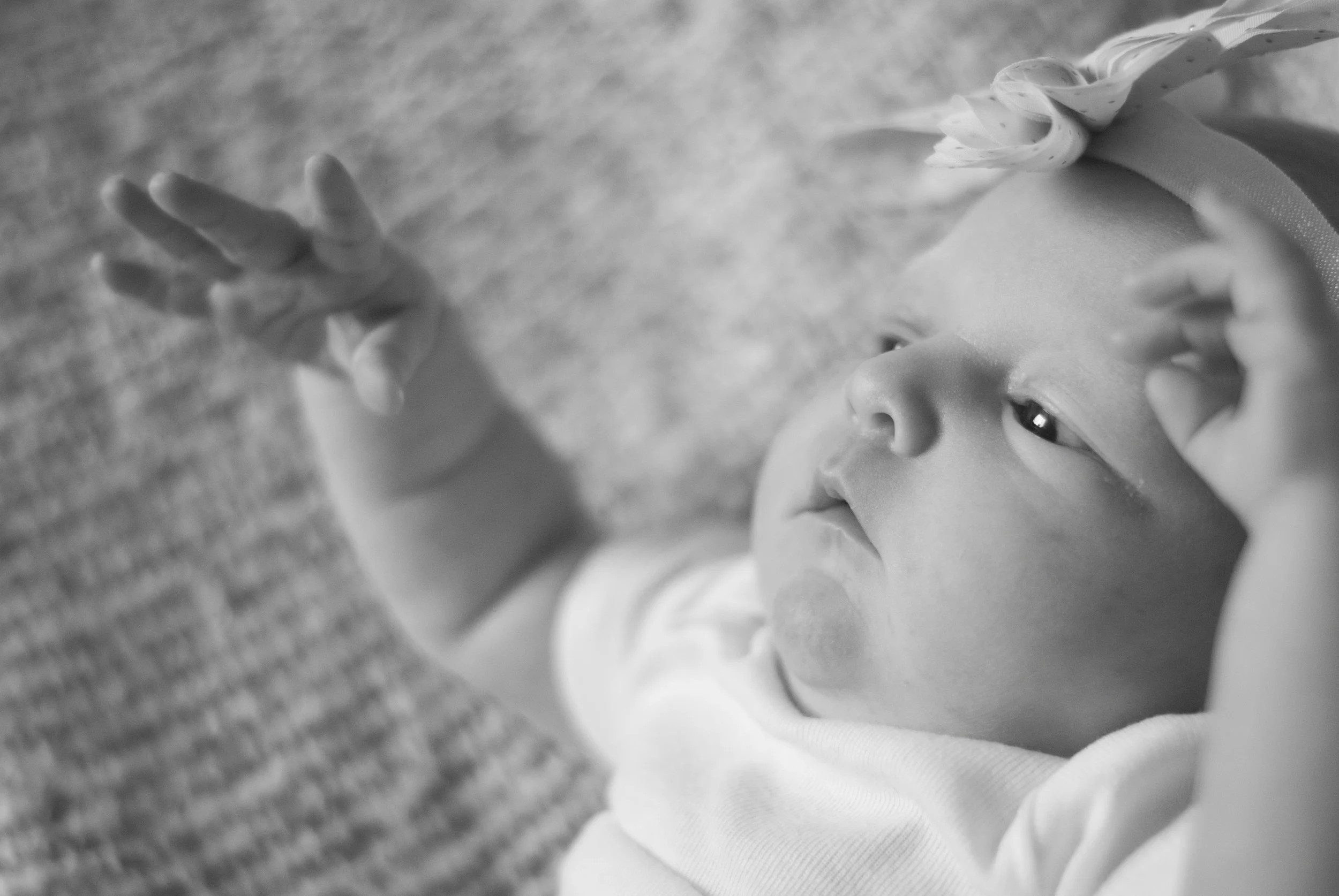 03.12.2017   (15).jpg