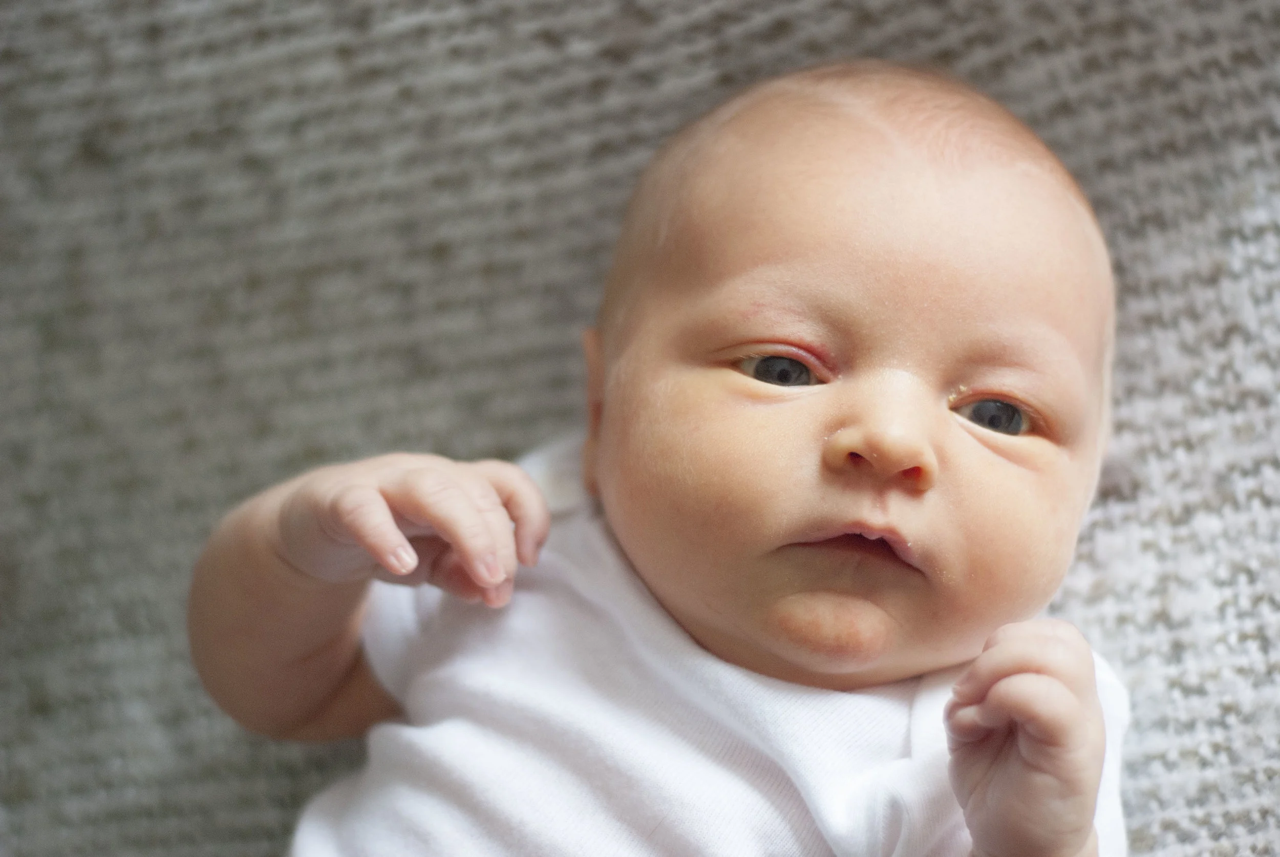 03.12.2017   (20).jpg