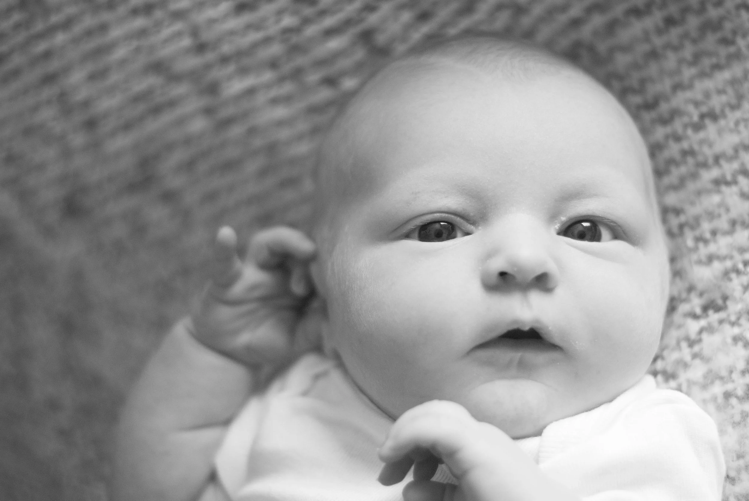 03.12.2017   (28).jpg