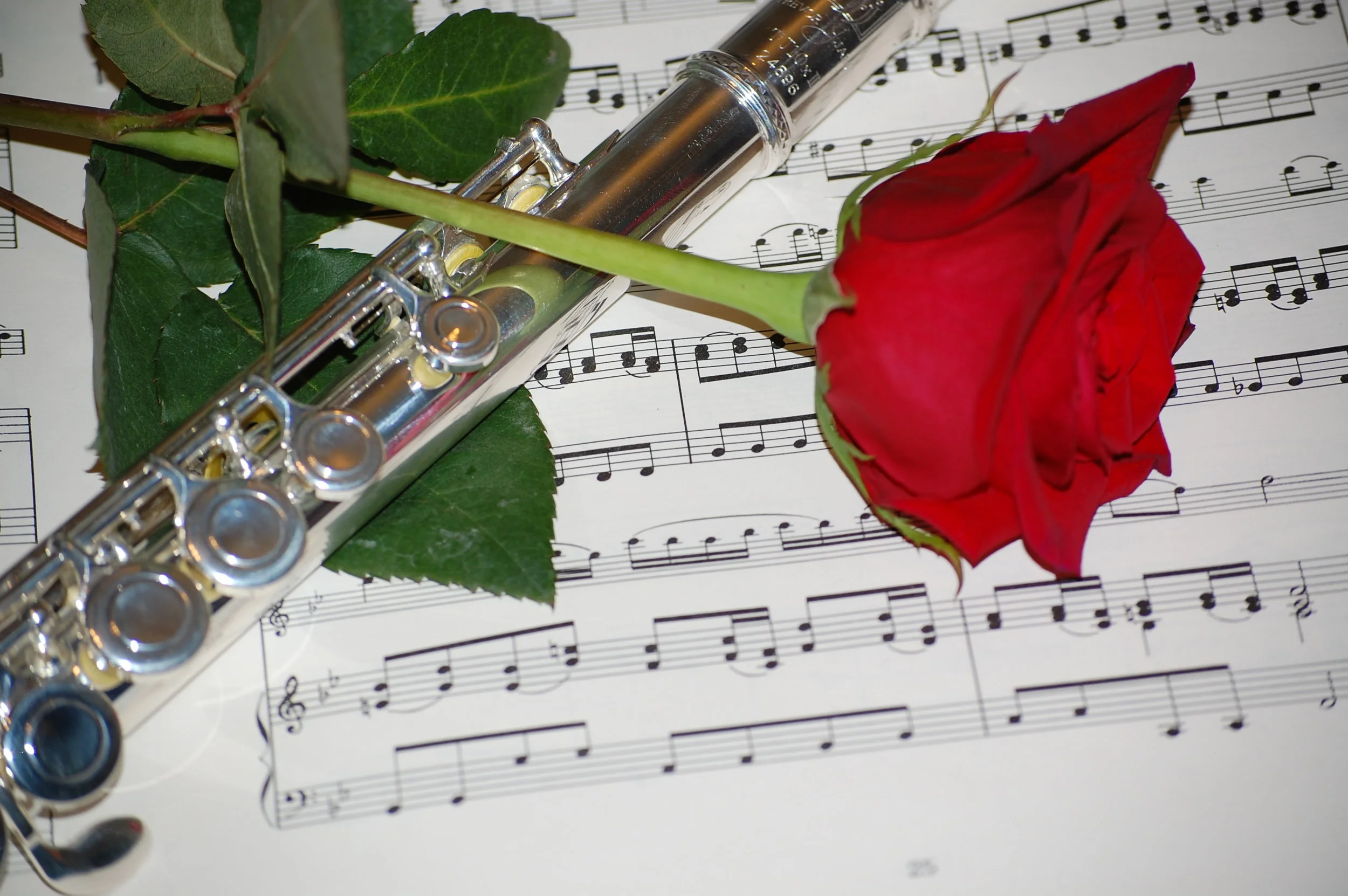 SC Flute Society Spring Festival