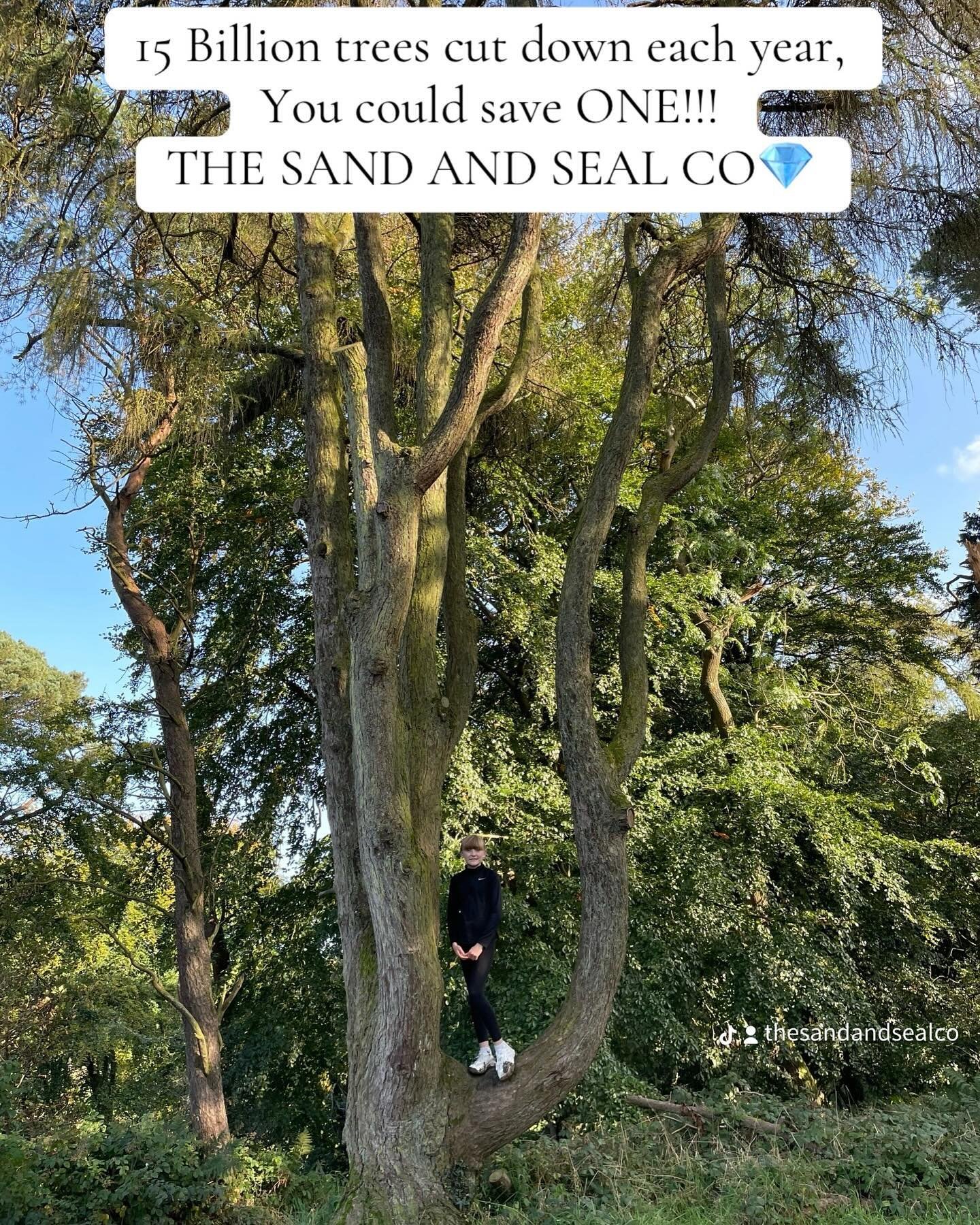 SAVE A TREE RESTORE A FLOOR 🌳
#oldwoodfloorsrestoredtocool💎 
#floorsanding 
#eco 
#woodenfloors 
#woodenfloorsandingandpolishing 
#wood 
#sand 
#seal 
#oak
#familybusiness 
#selfemployed 
#life 
#tree 
#forest 
#northernireland 
#belfast 
#belfastc