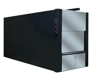 Millennium Model Cremator