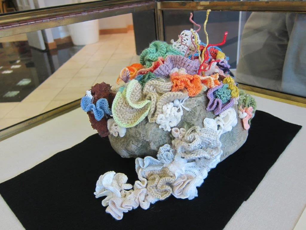hyperbolic coral reef