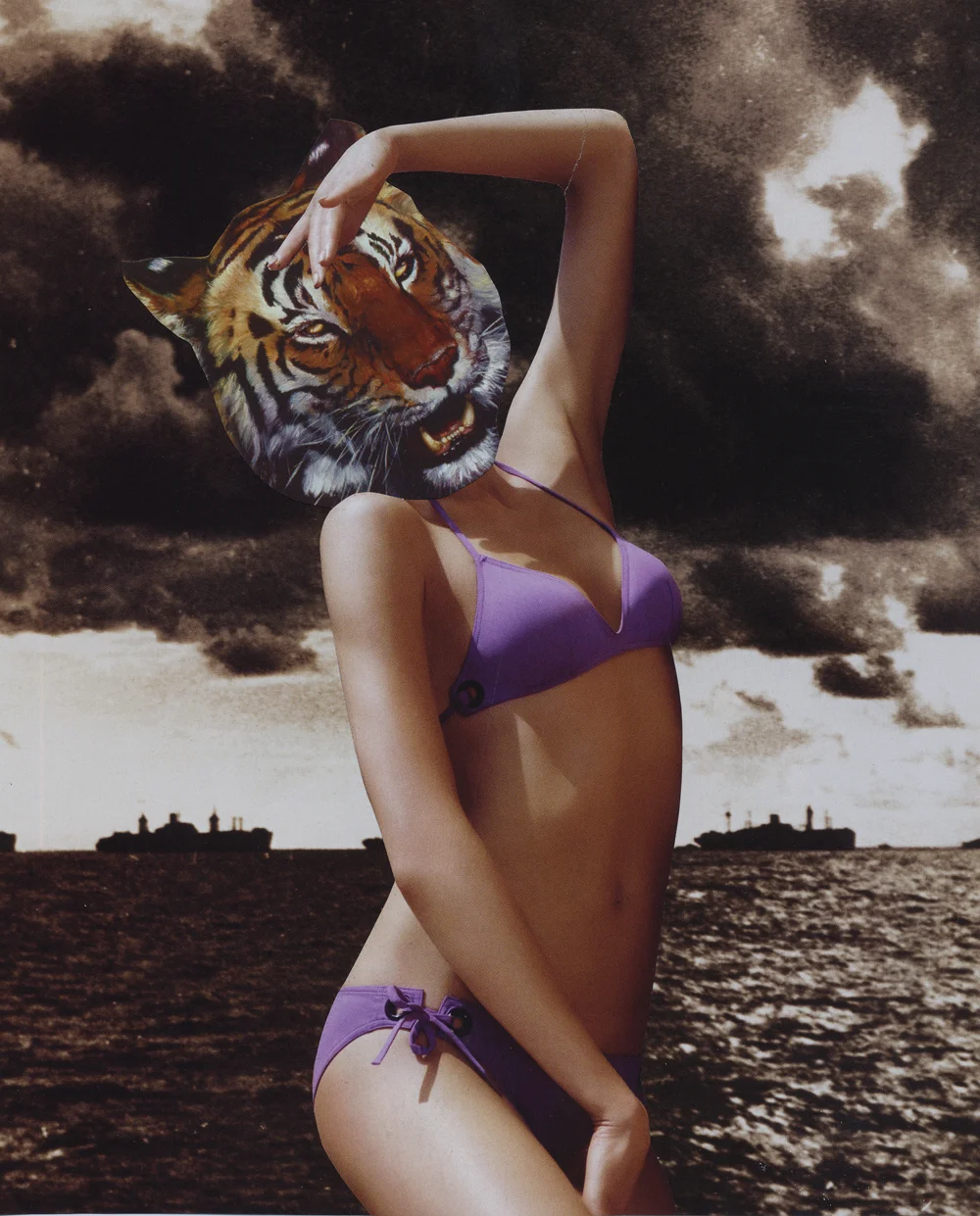 Tiger Bombshell, 2008 - Colleen Cunningham