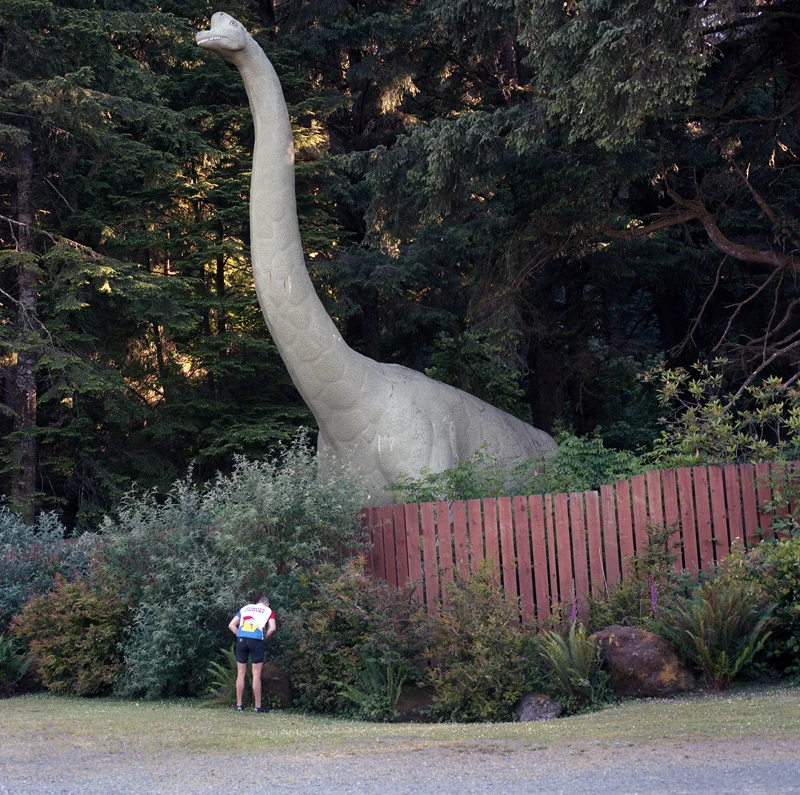 dino2.jpg